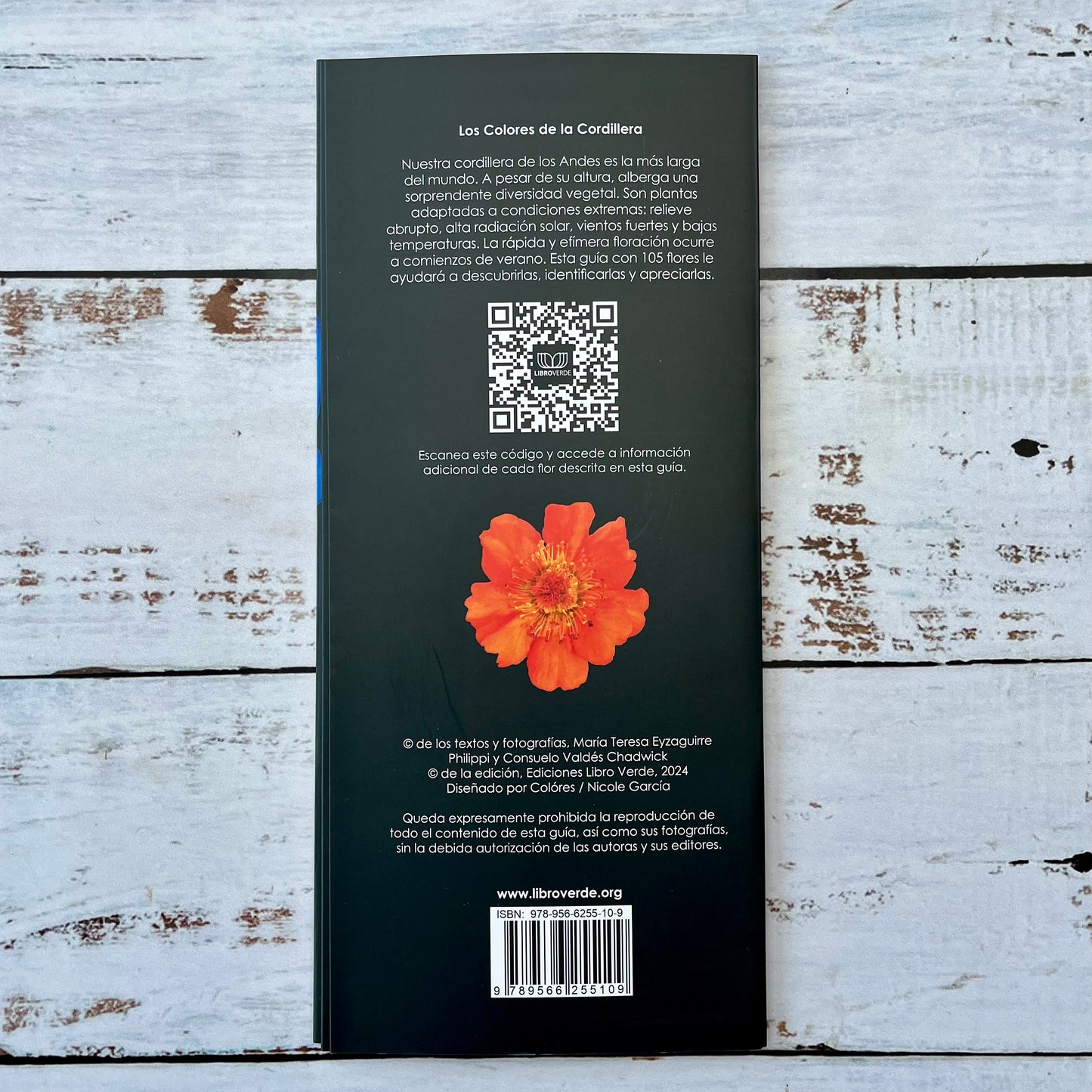 Los colores de la Cordillera. Guía de flores
