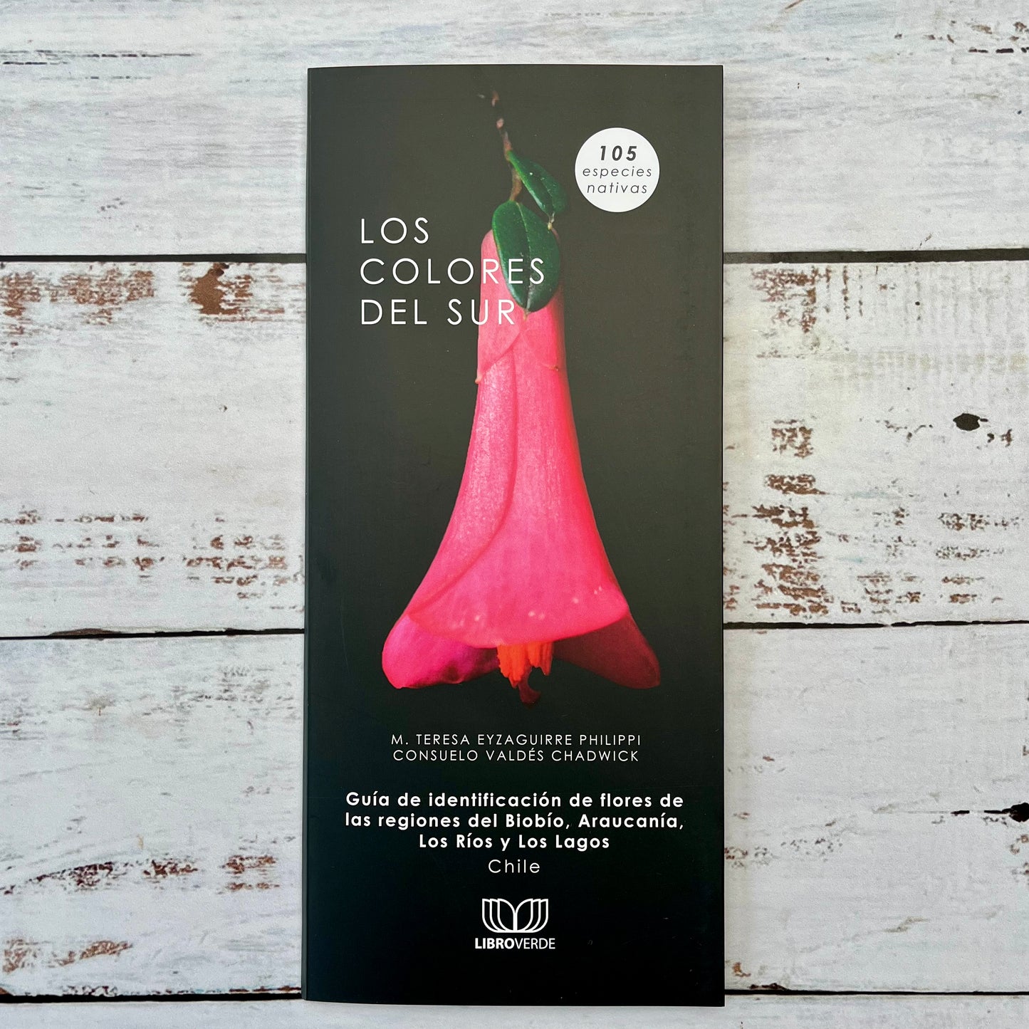 Los colores del sur. Guía de flores