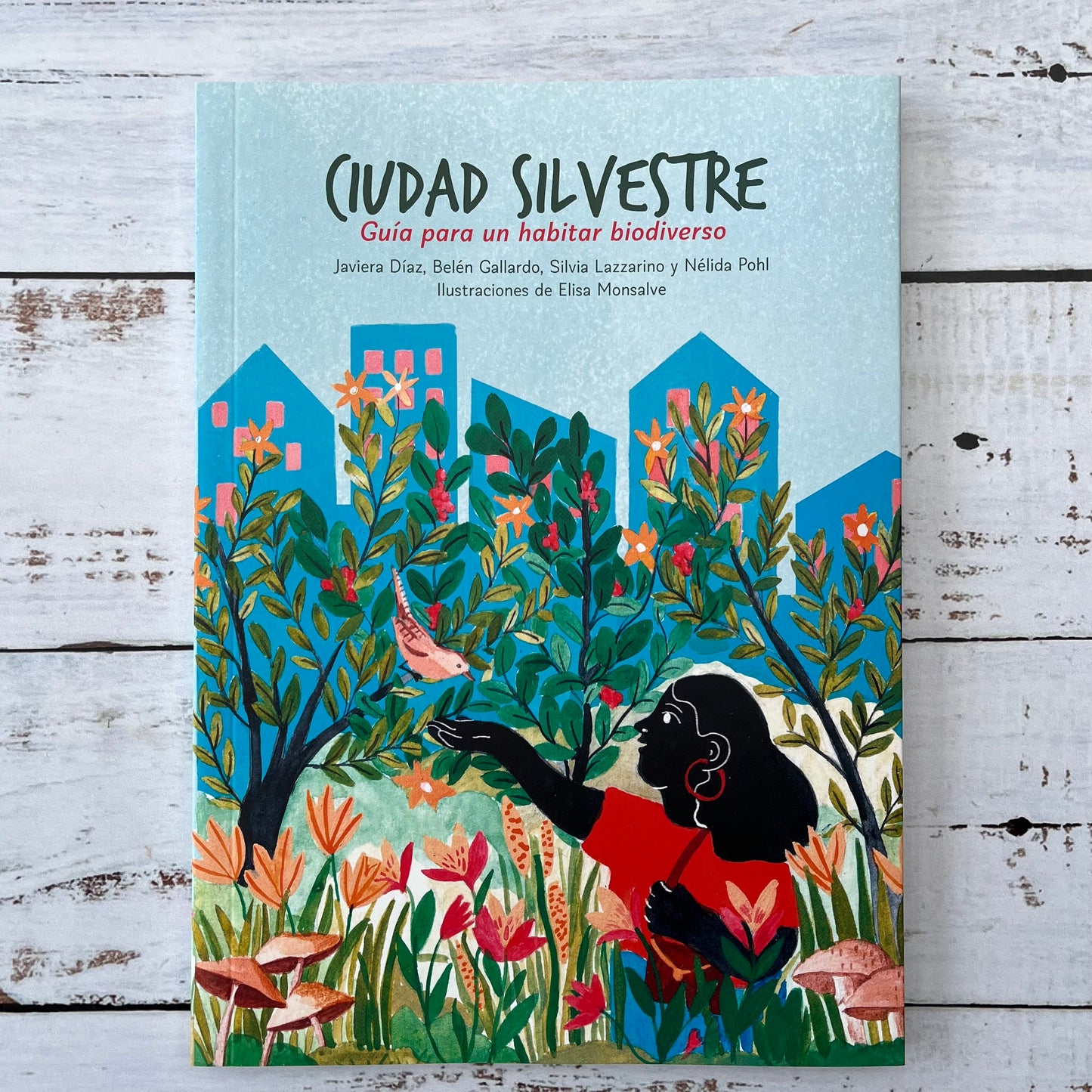 Ciudad Silvestre