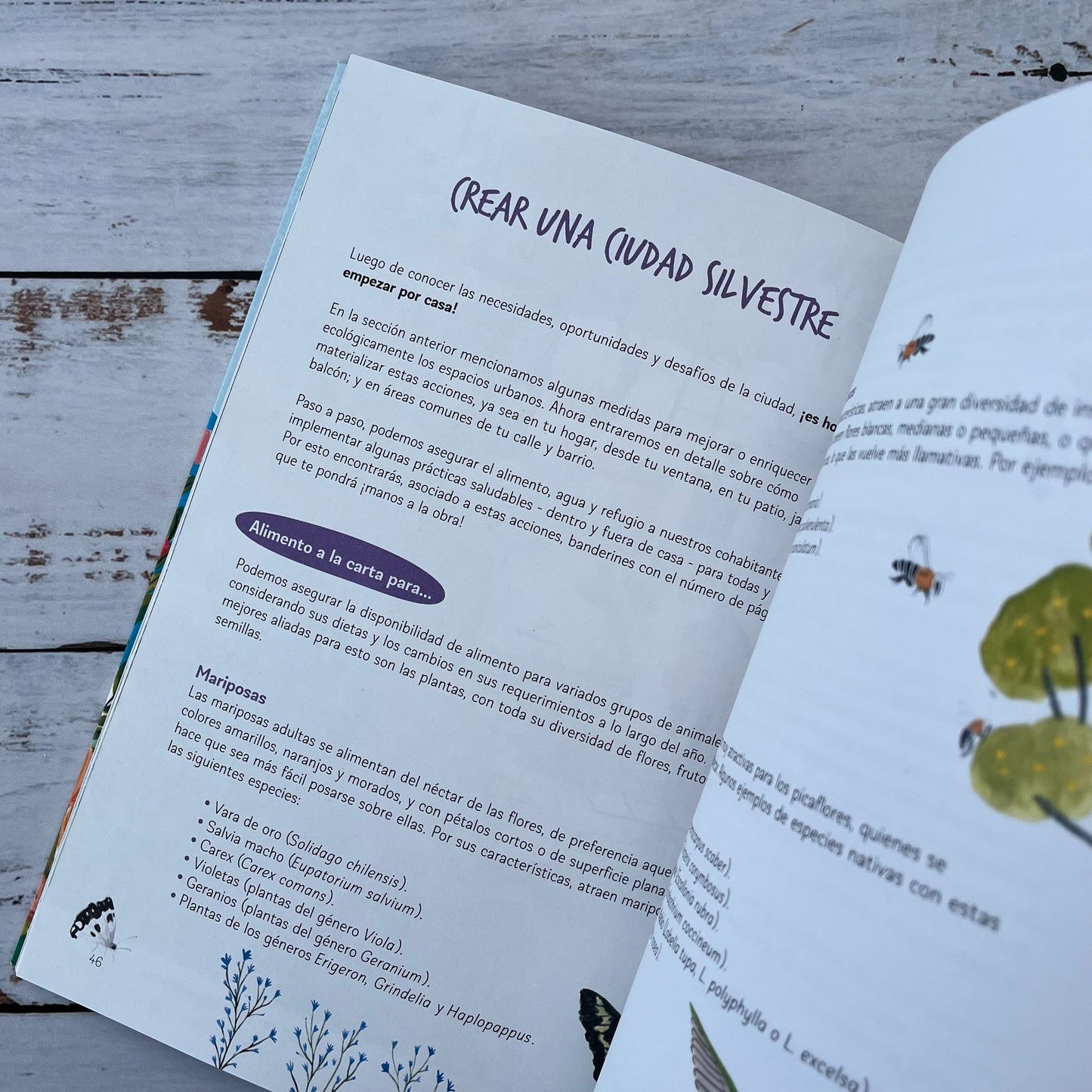 Biodiversidad y ecología de los Bosques Costeros de Chile