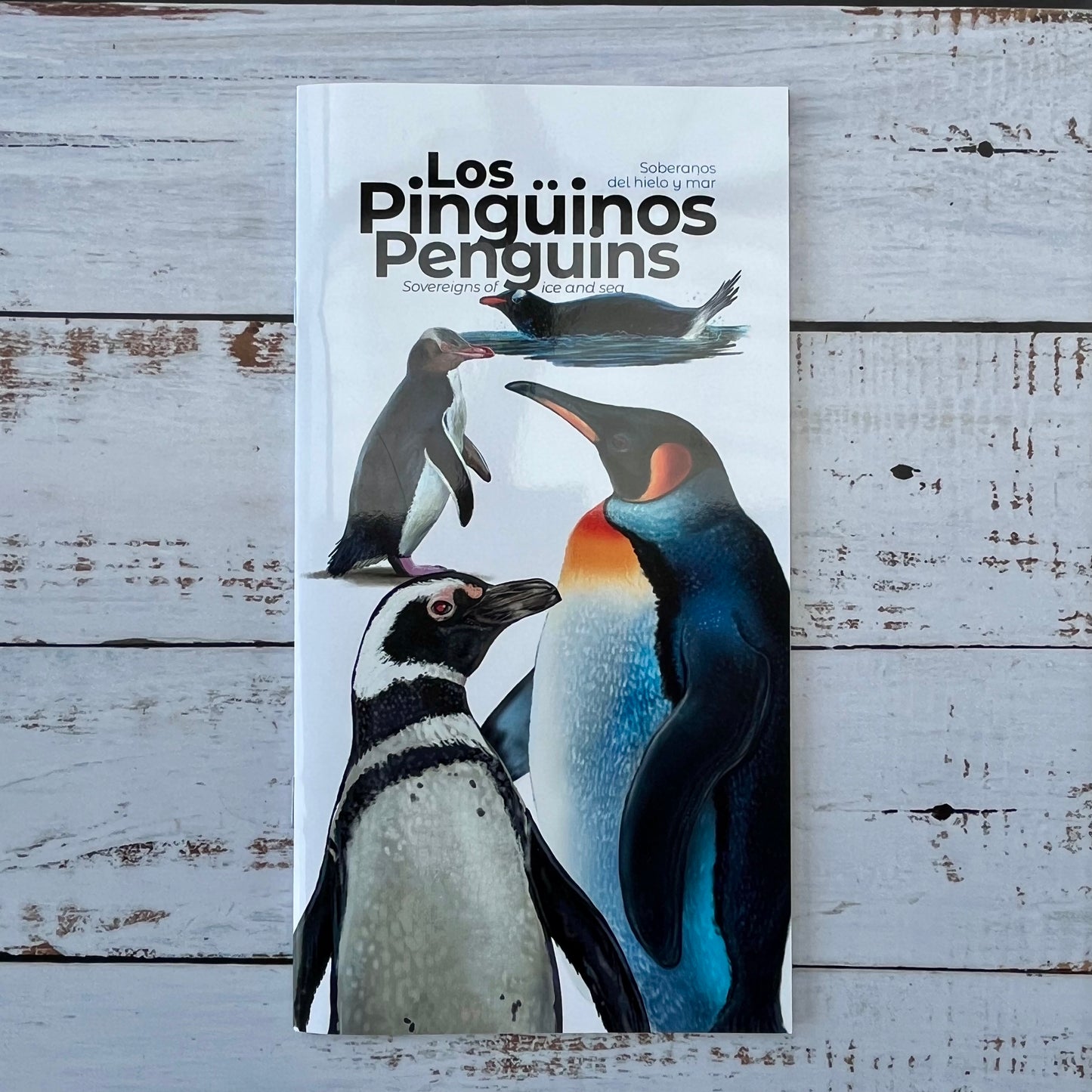 Los Pingüinos. Soberanos del hielo y mar.