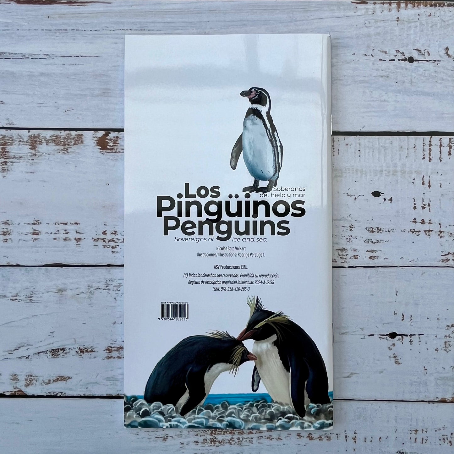 Los Pingüinos. Soberanos del hielo y mar.