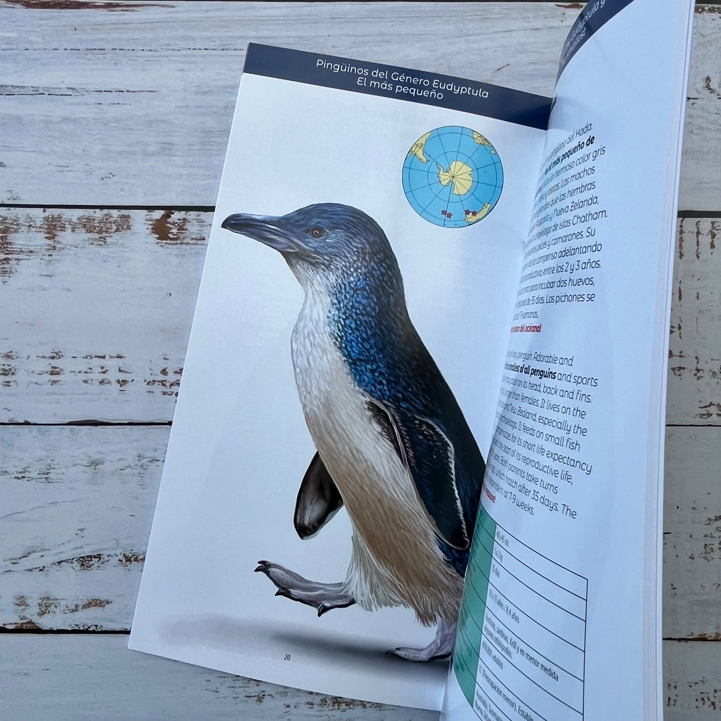 Los Pingüinos. Soberanos del hielo y mar.