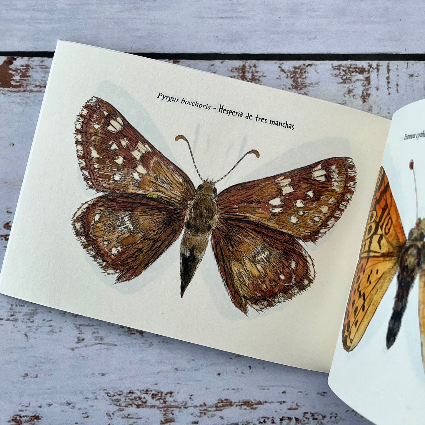 Mariposario