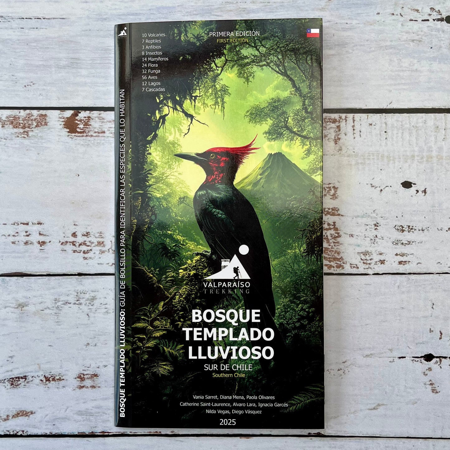 Guía plegable: Bosque Templado Lluvioso. Sur e Chile
