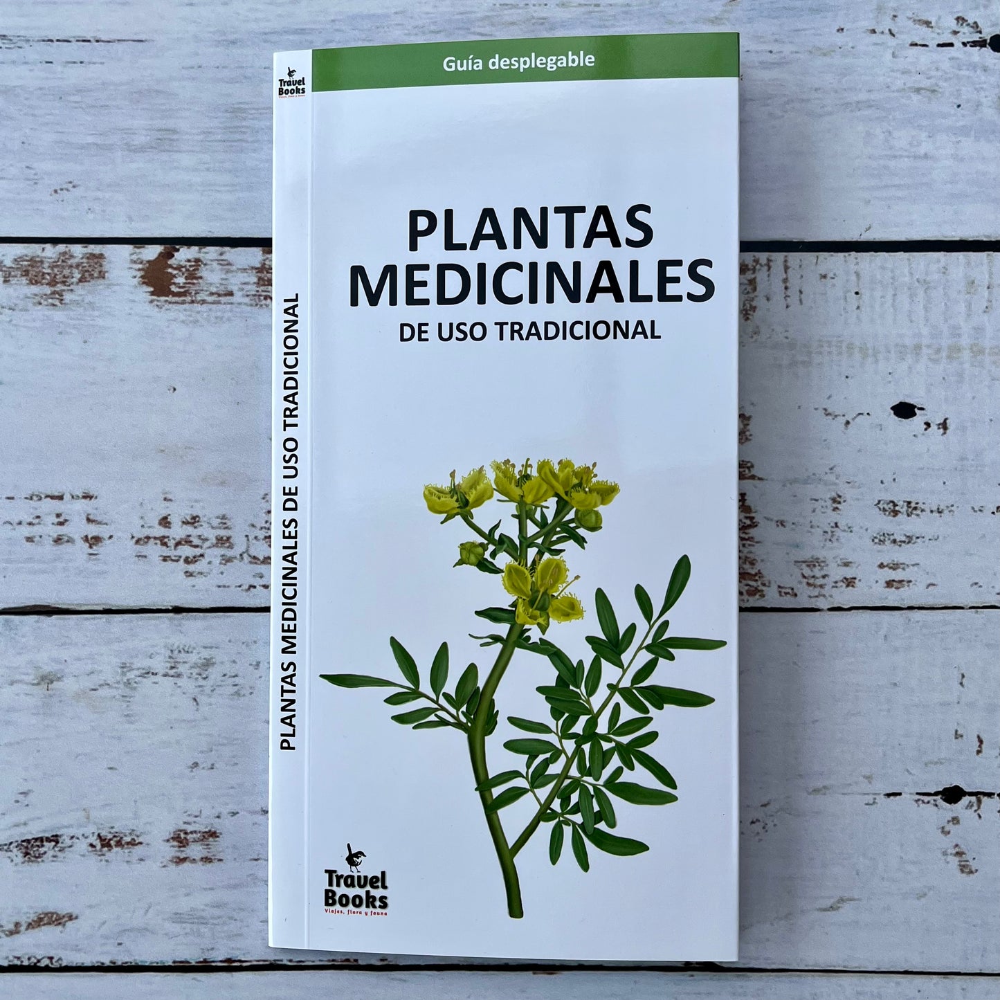 Plantas Medicinales de uso tradicional