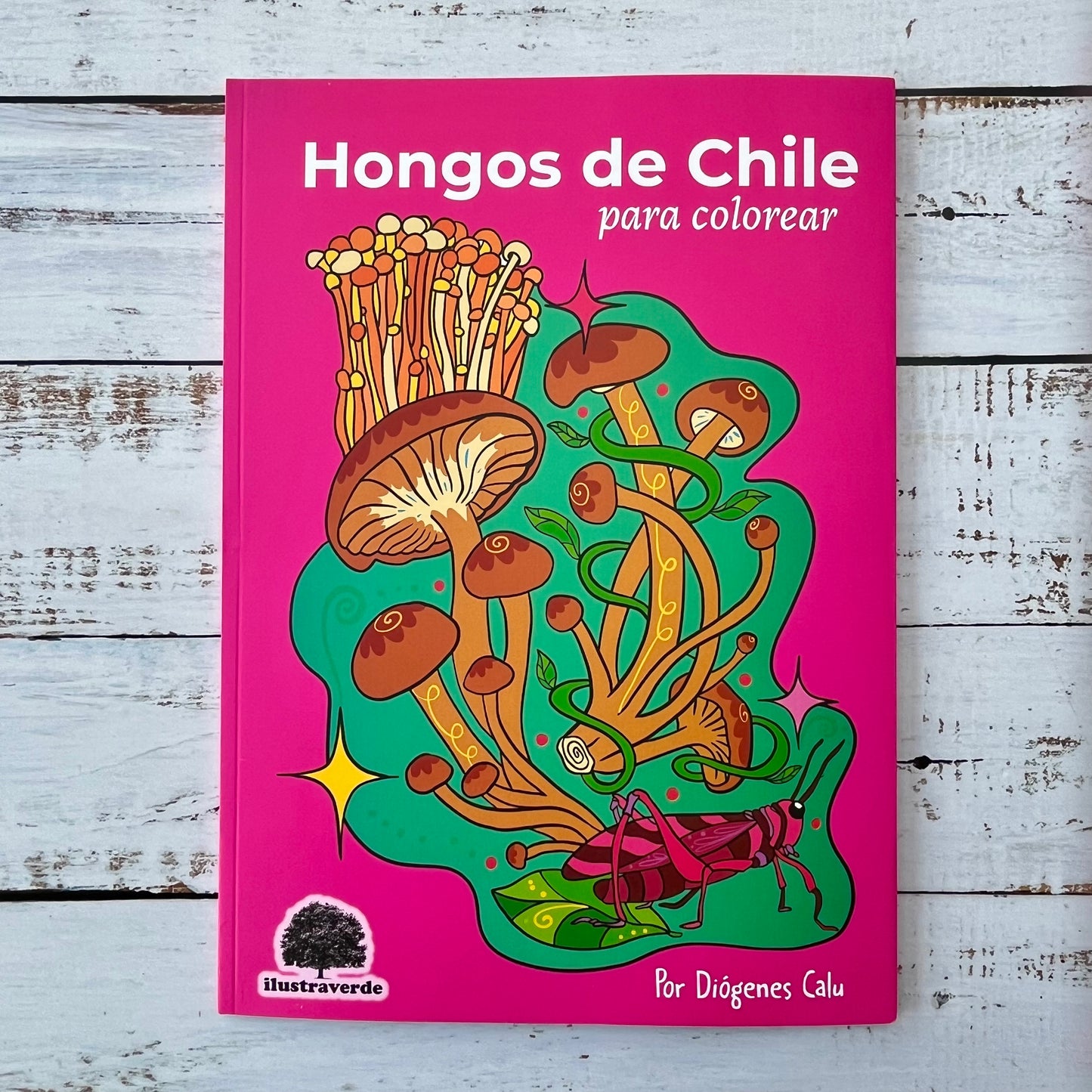 Hongos de Chile para colorear