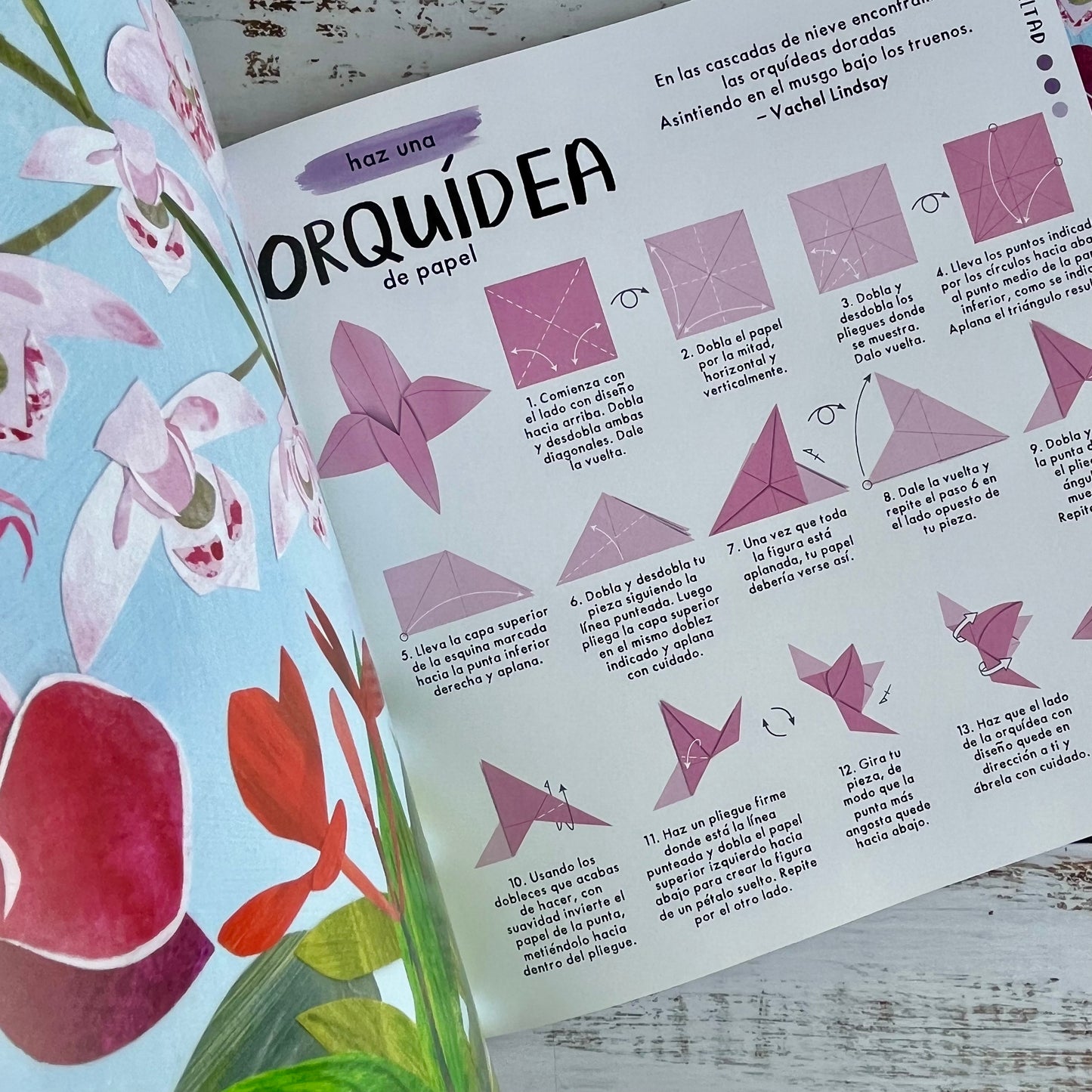 Origami de Flores