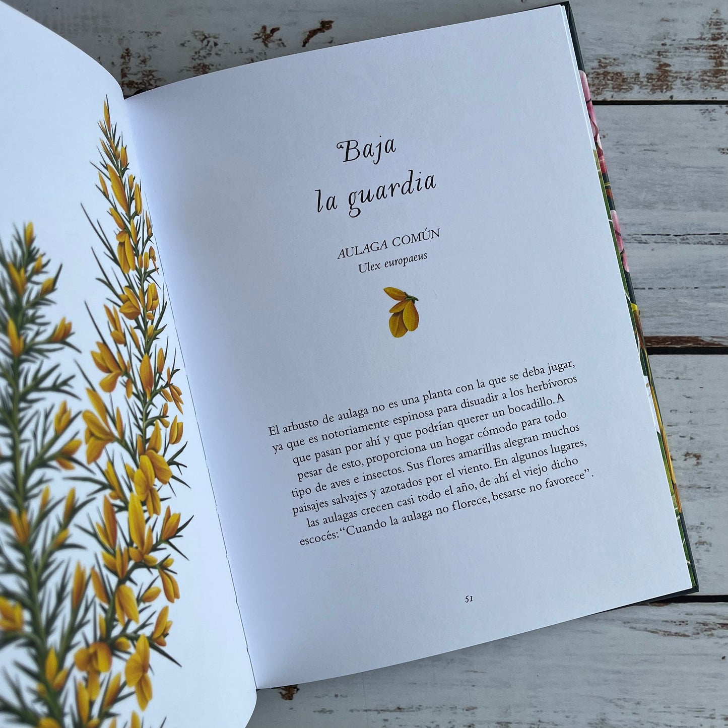 La sabiduría de las Flores