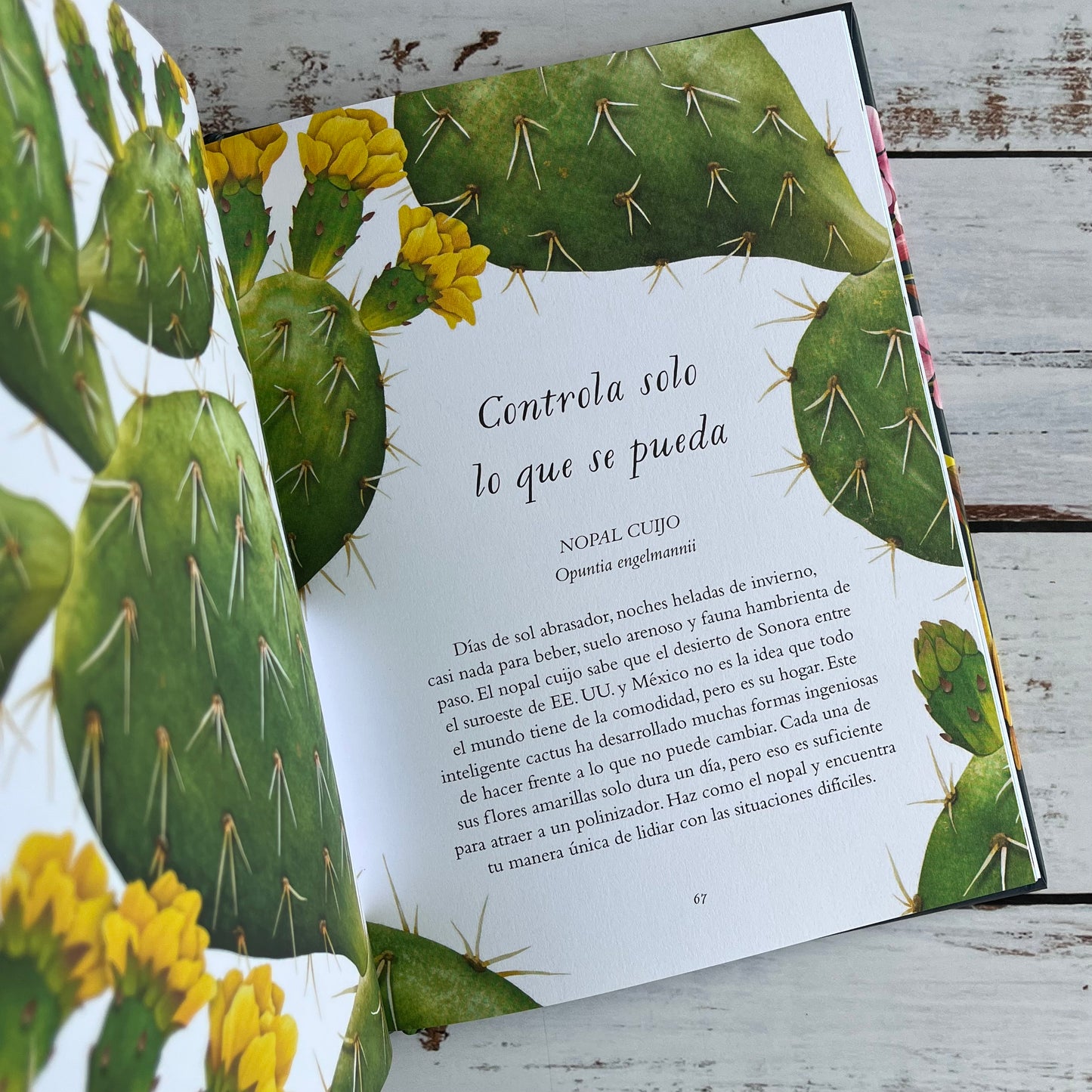 La sabiduría de las Flores