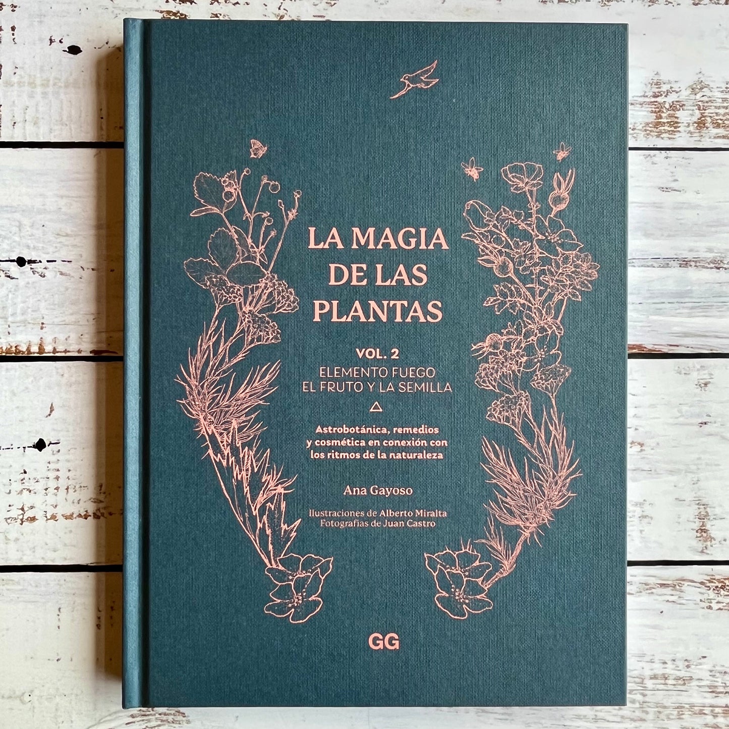 La magia de las plantas Vol. 2. Elemento fuego. El fruto y la semilla