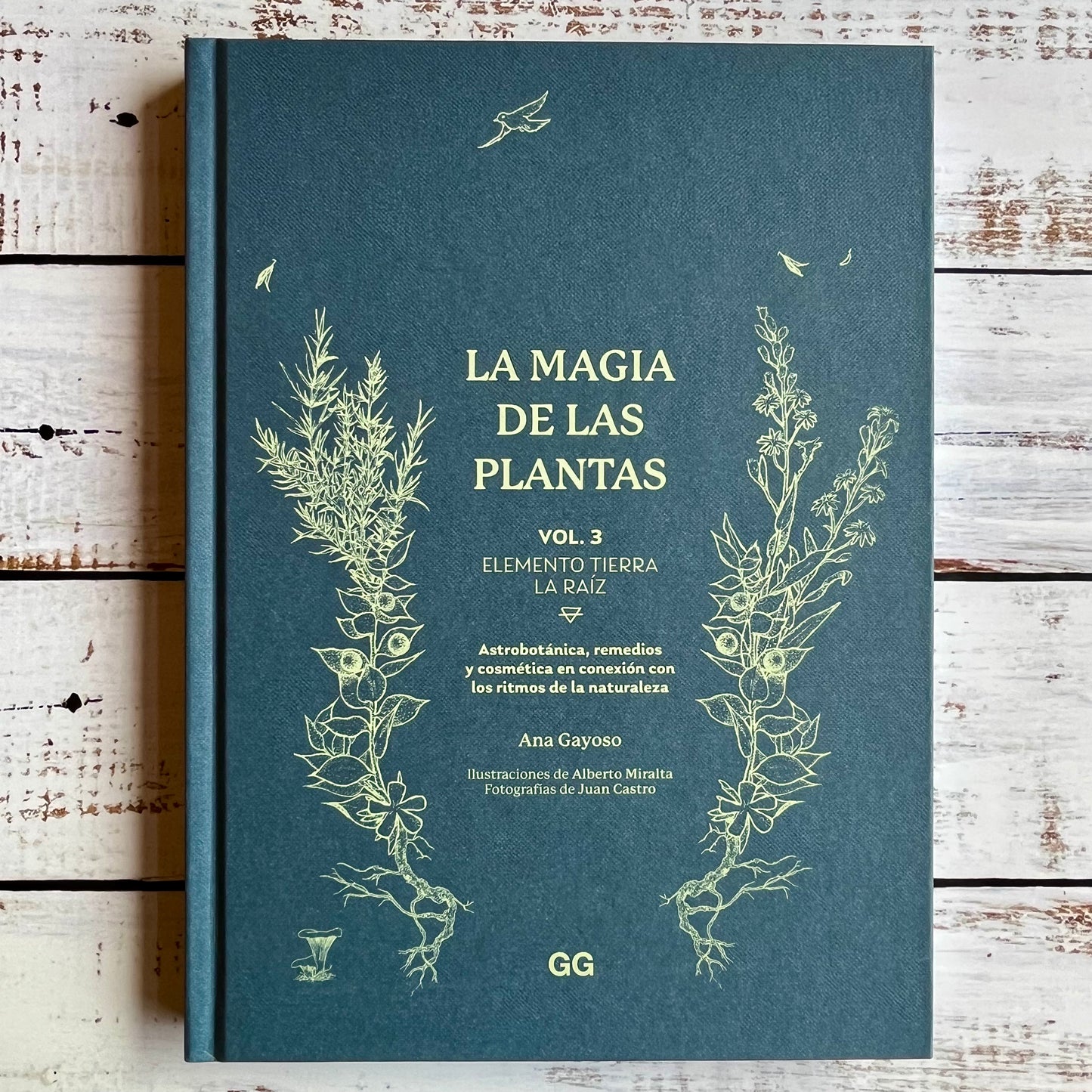 La magia de las plantas Vol. 2. Elemento fuego. El fruto y la semilla