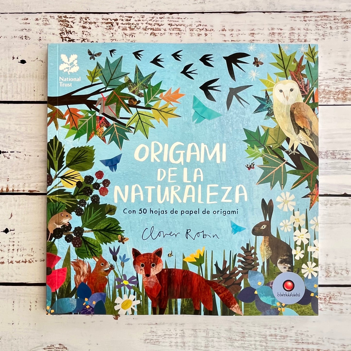 Origami de la naturaleza