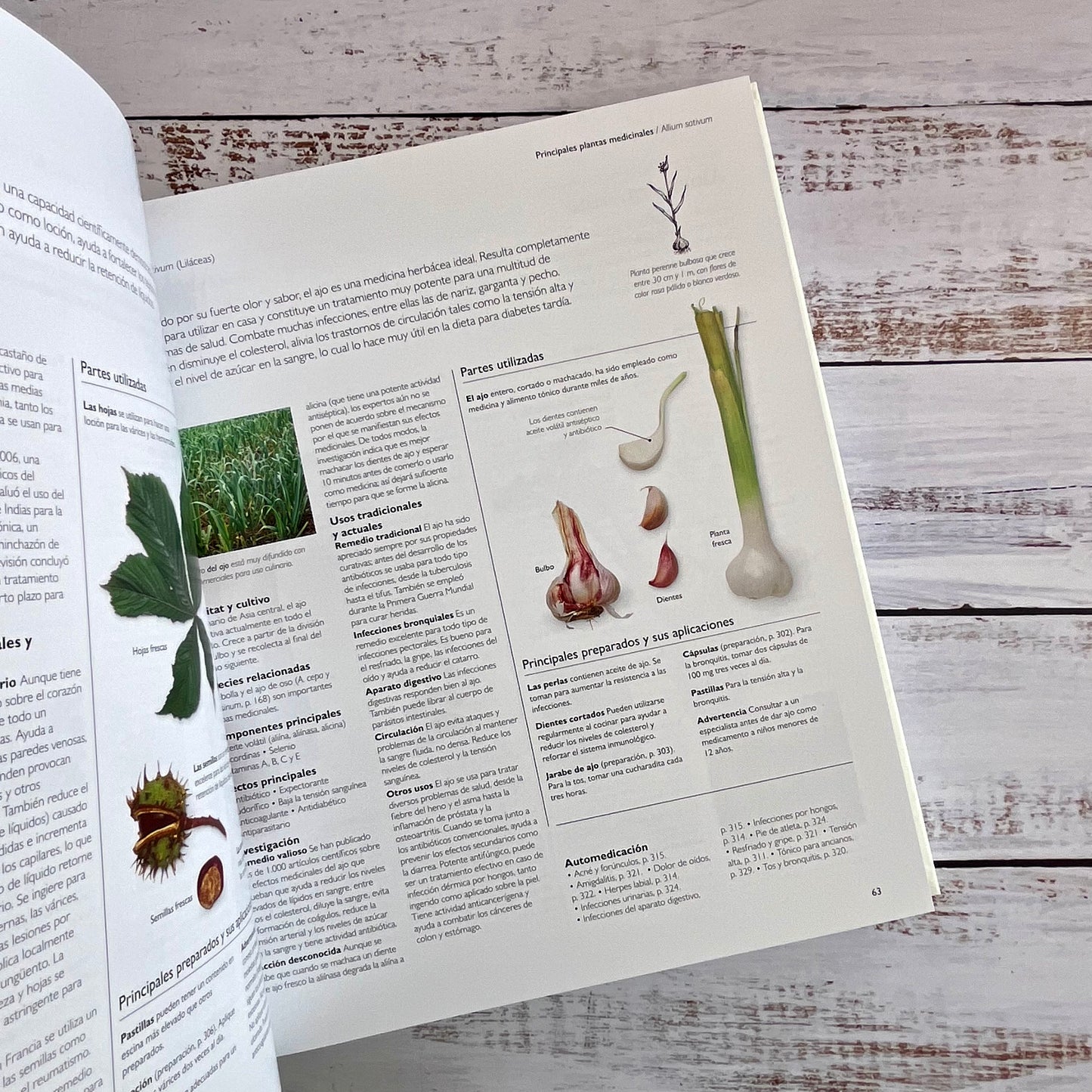 Enciclopedia de plantas medicinales.