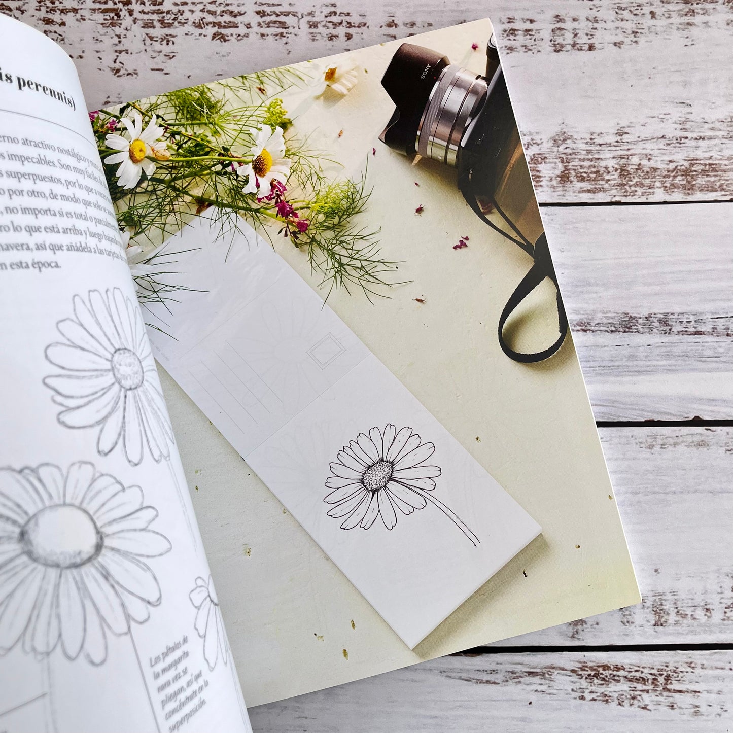 El arte de dibujar flores