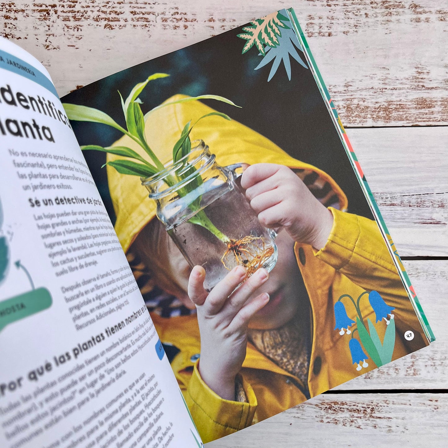 Jardinería y huertos familiares. Guía práctica