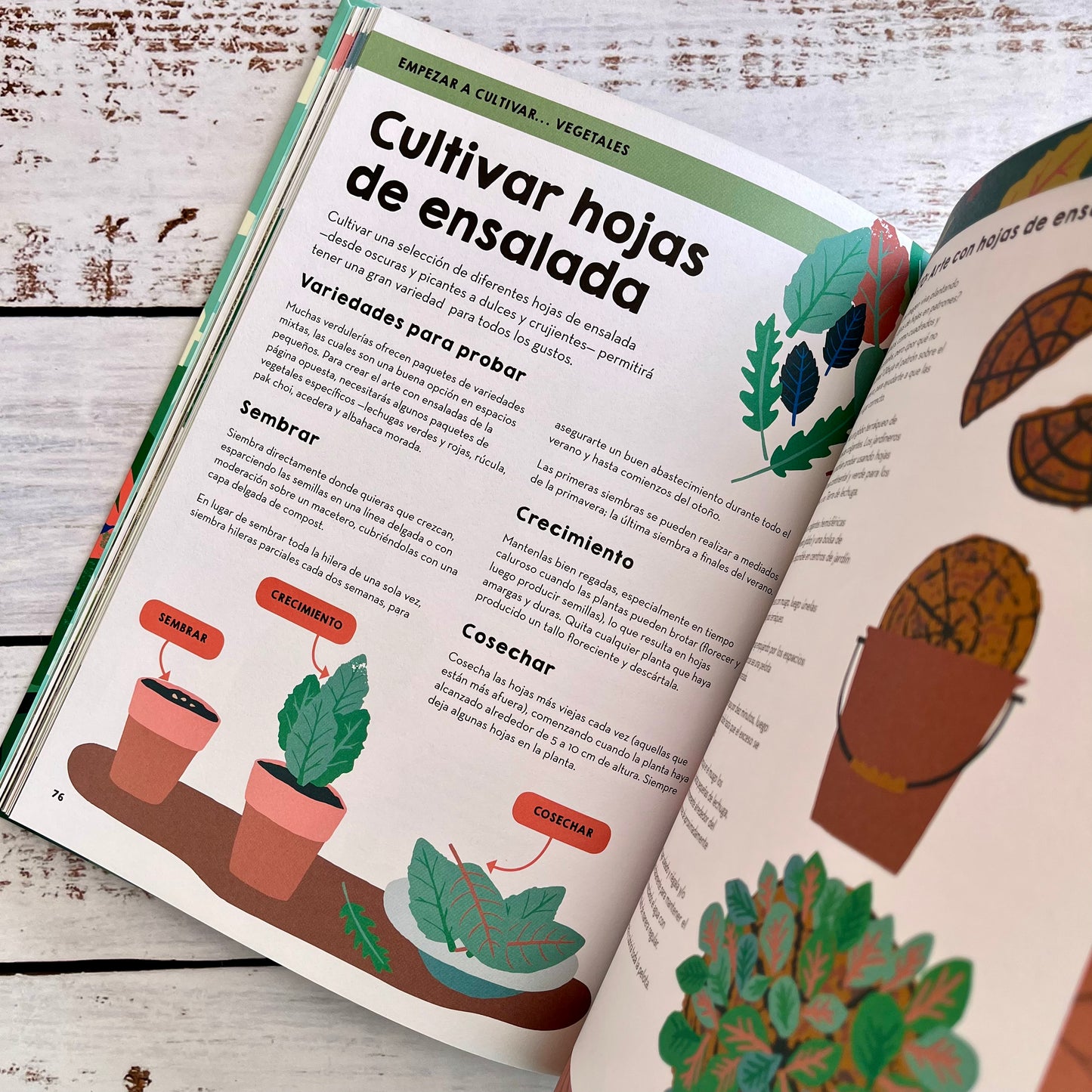 Jardinería y huertos familiares. Guía práctica