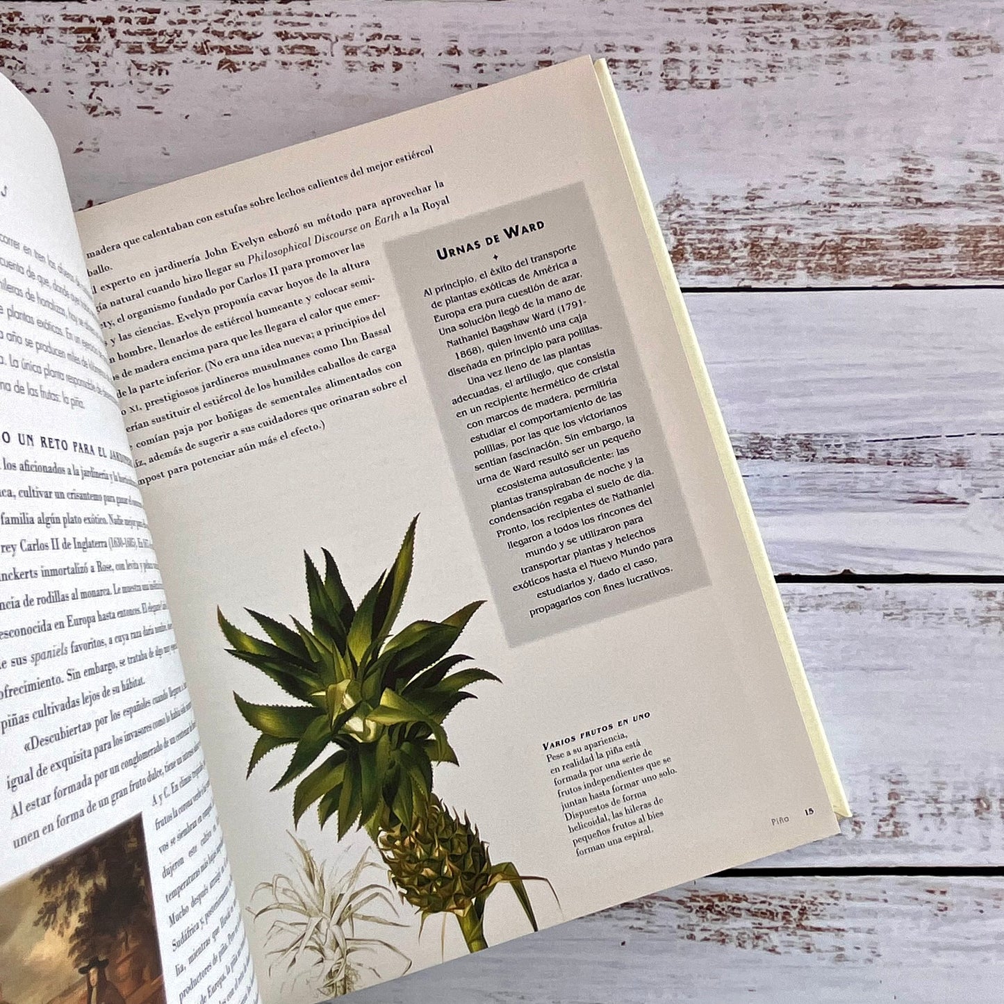 50 plantas que han cambiado el curso de la historia.