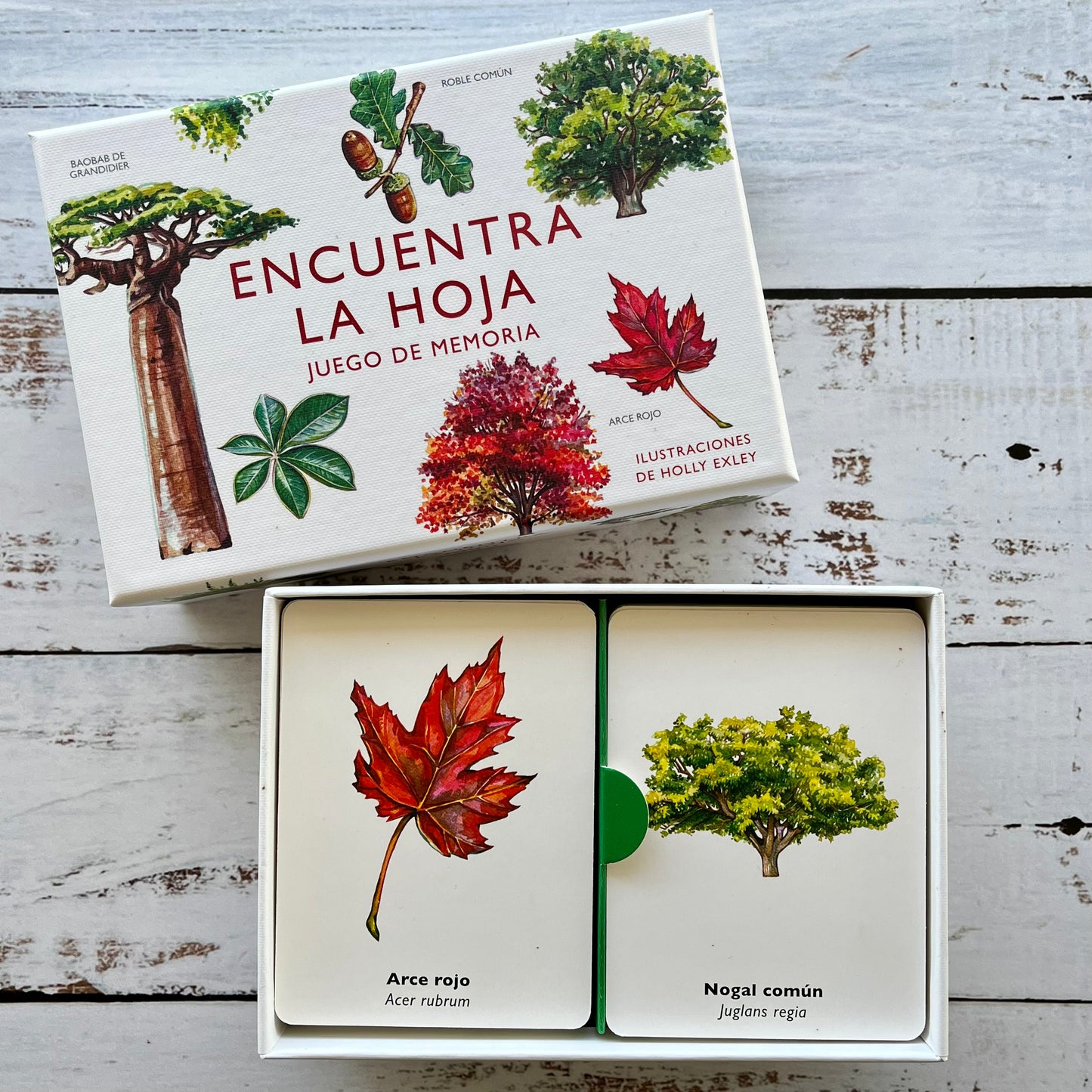 Encuentra la hoja