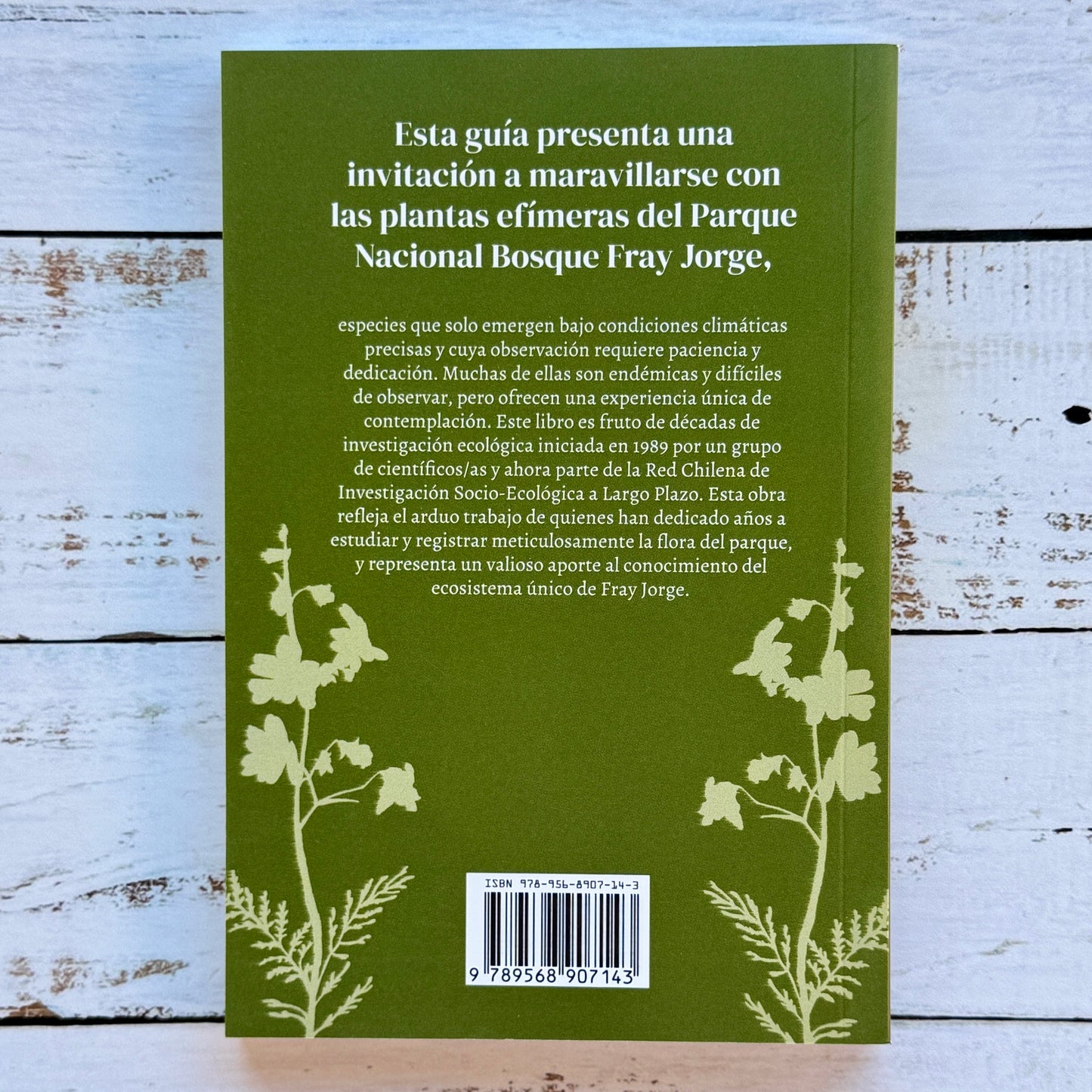 Guía ilustrada de plantas efímeras del Parque Nacional Bosque Fray Jorge