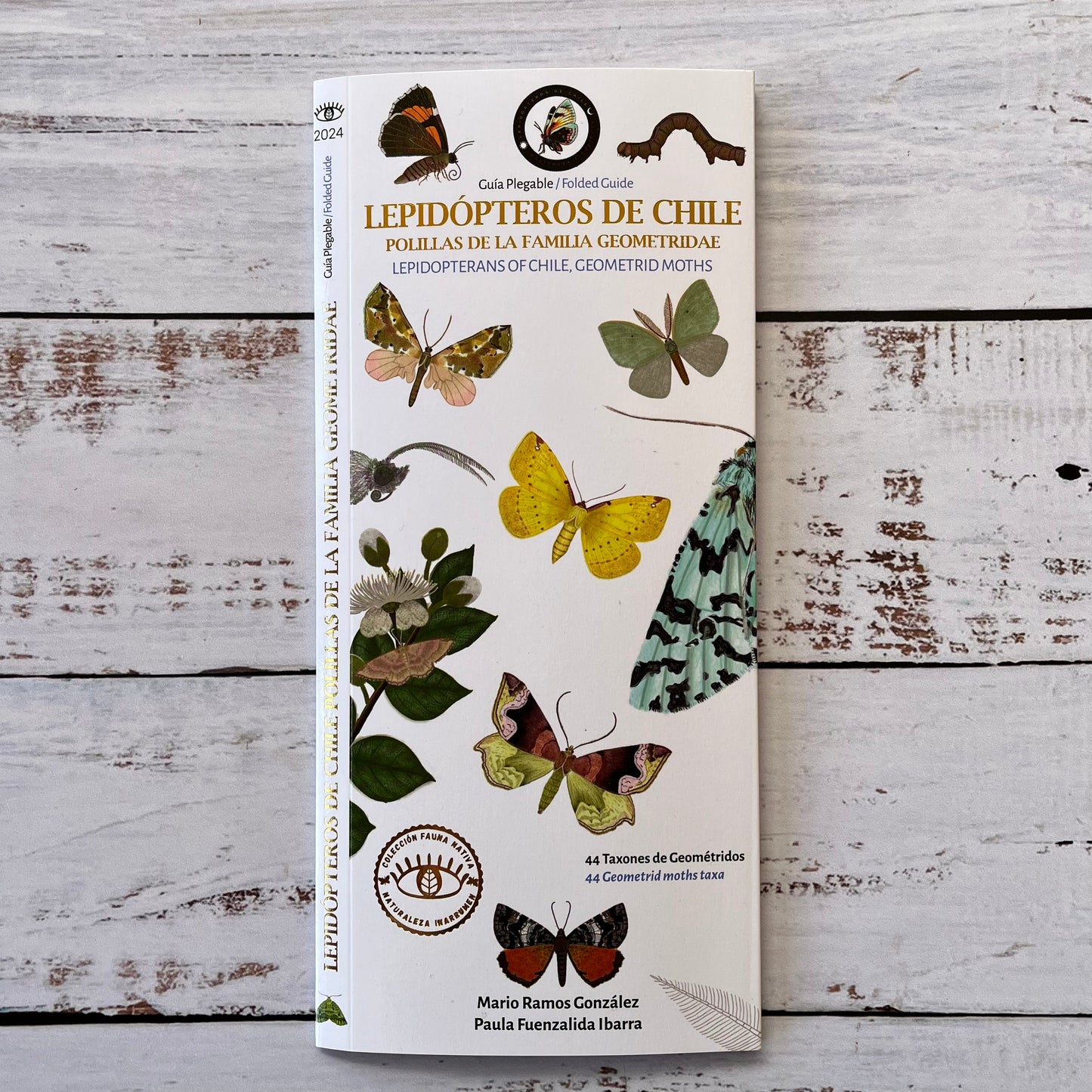 Guía plegable: Lepidópteros de Chile