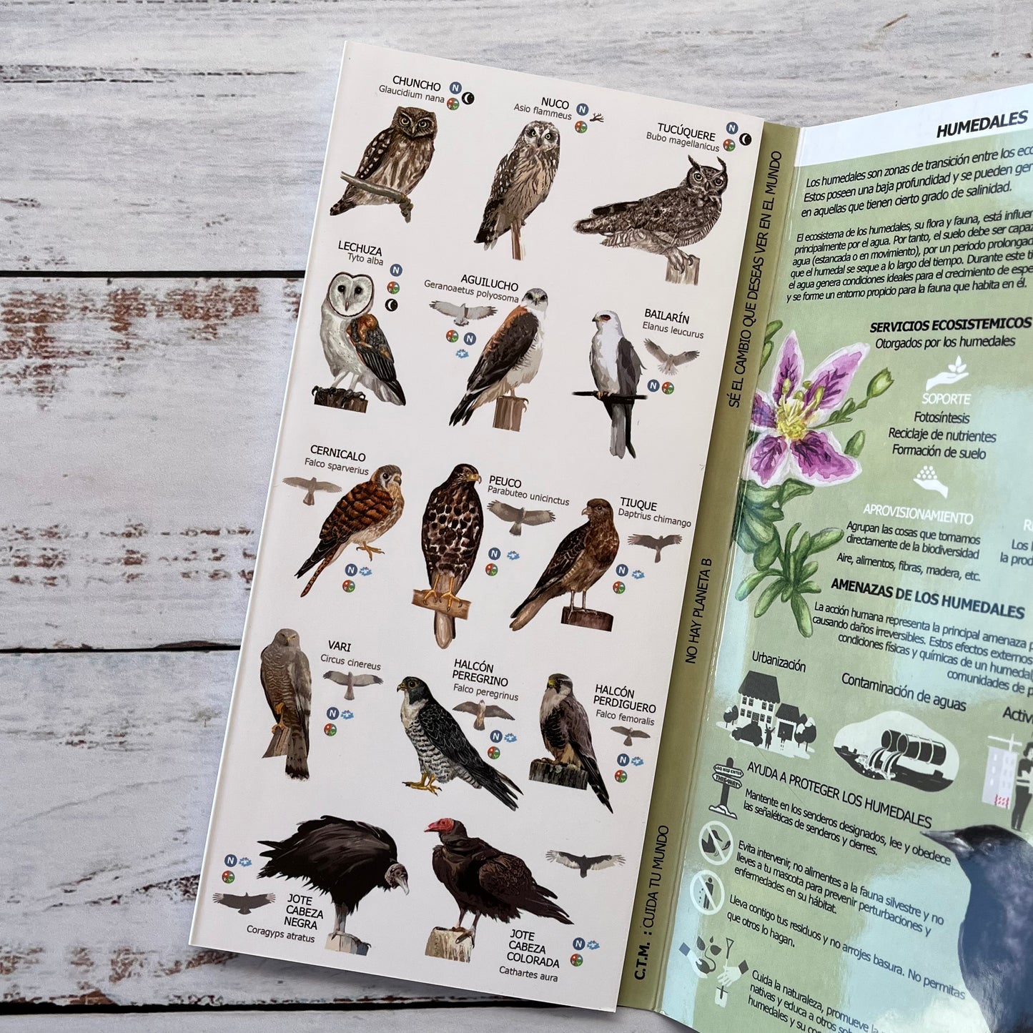 Guía plegable: Humedales, flora, fauna y funga