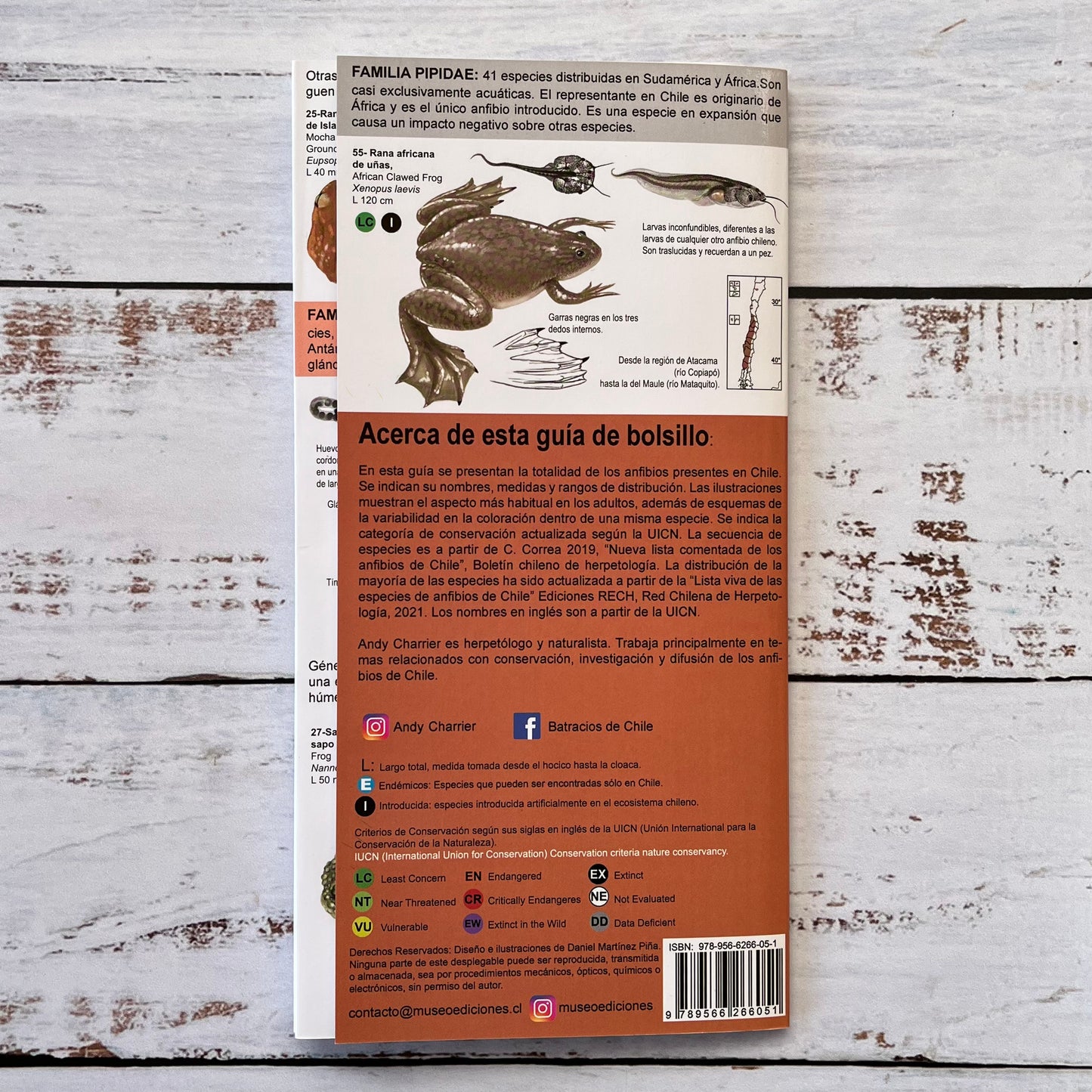 Guía plegable: Anfibios de Chile