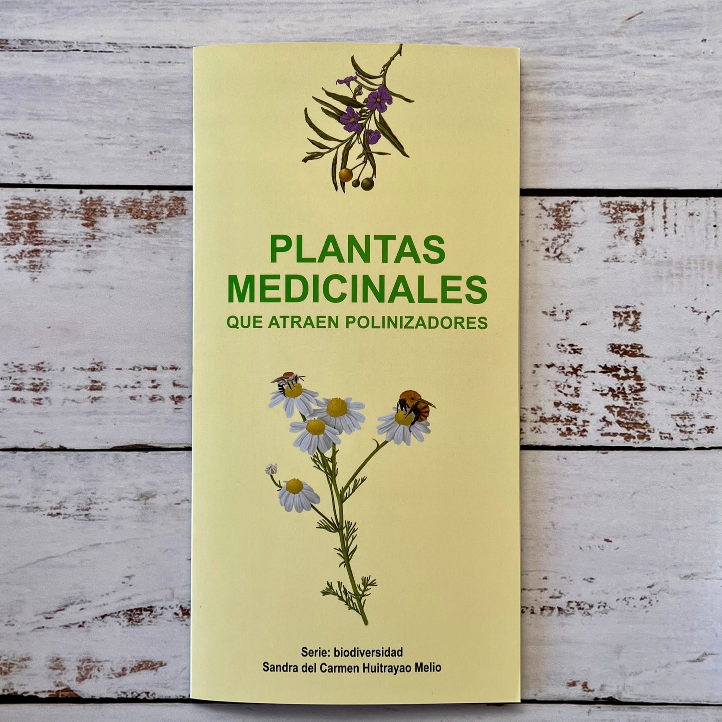 Plantas medicinales que atraen polinizadores (Tríptico)