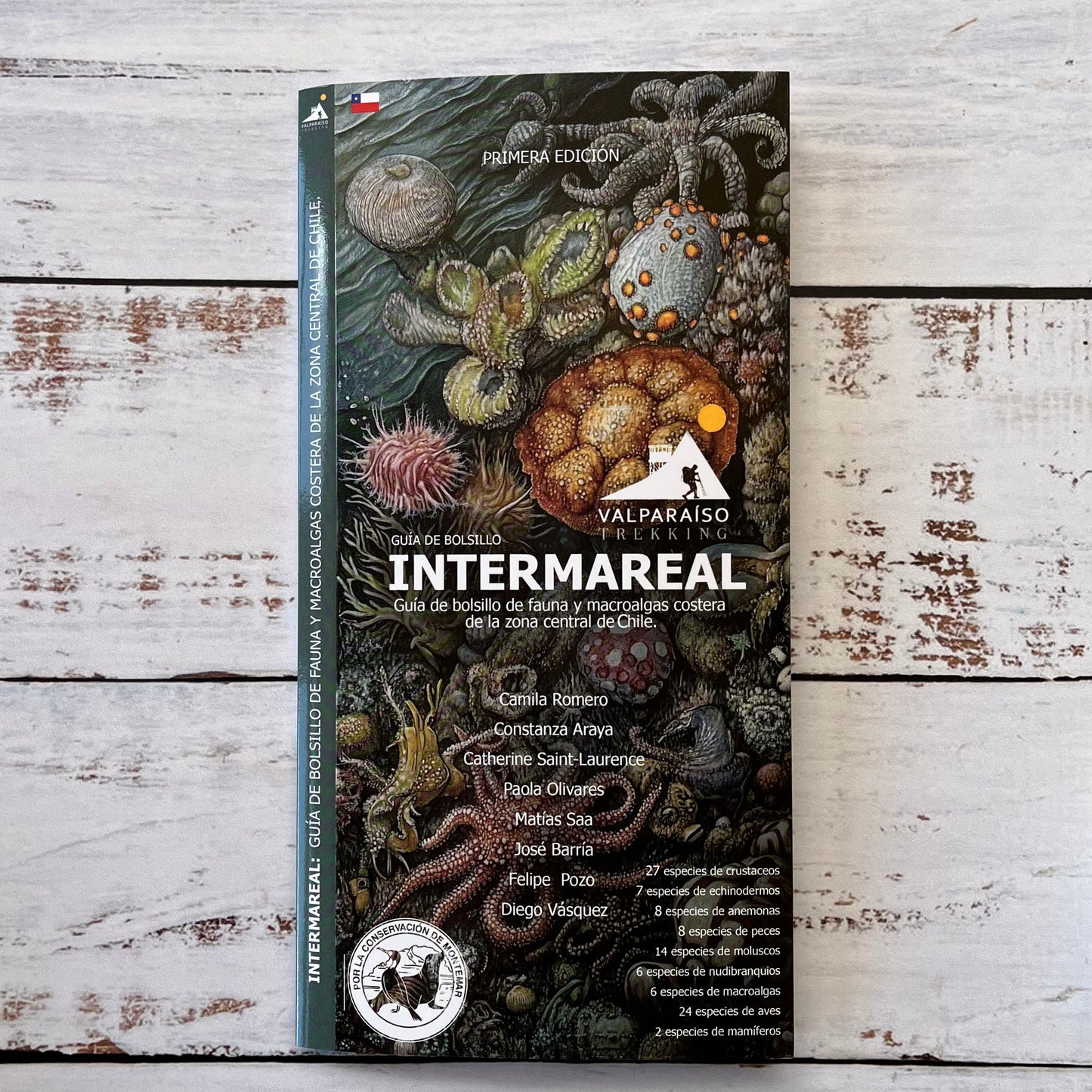 Guía plegable: Intermareal