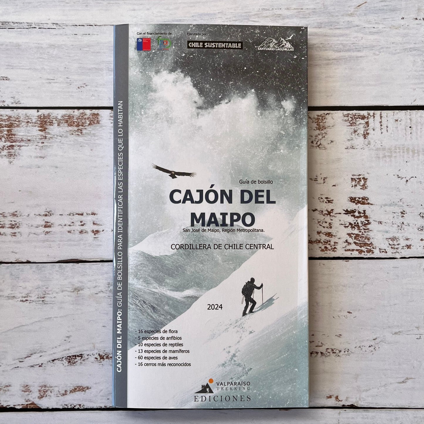 Guía plegable: Cajón del Maipo