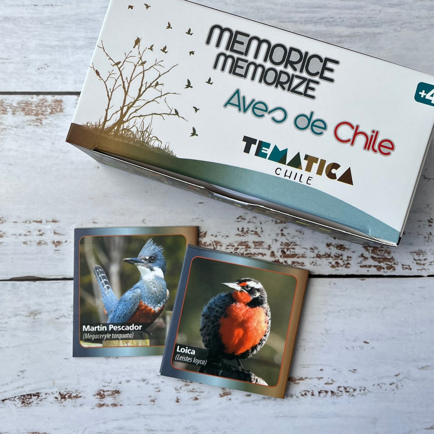 Memorice Aves de Chile