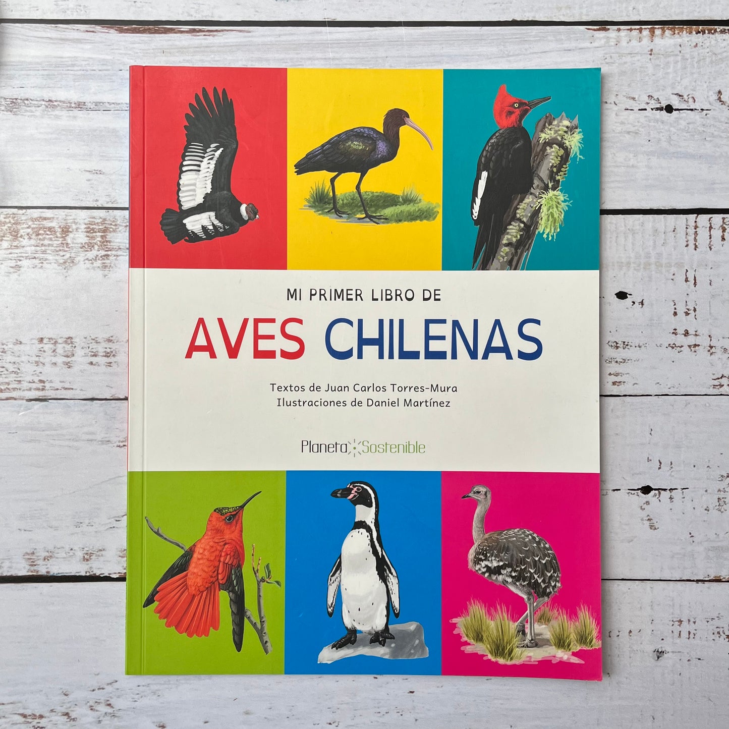 Mi primer libro de aves chilenas