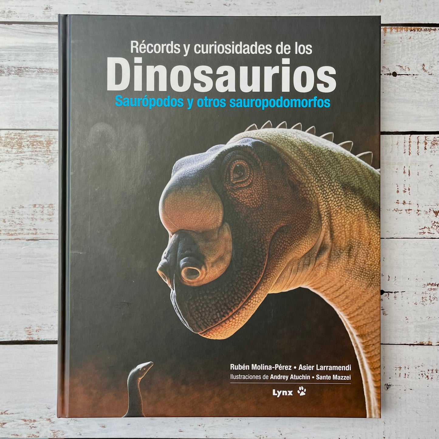 Récords y curiosidades de los Dinosaurios. Saurópodos y otros saurodomorfos.