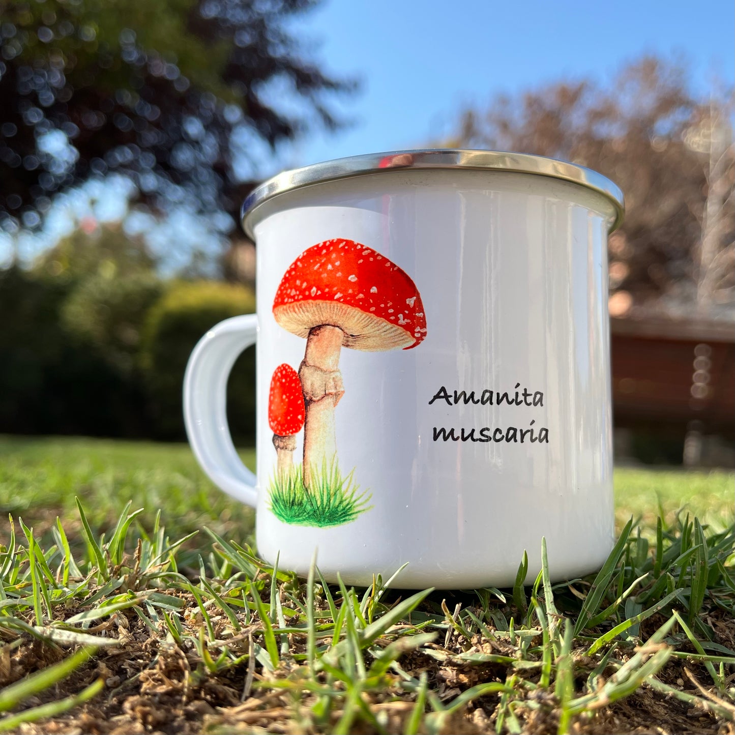 Tazón enlozado, flora, fauna y funga ilustrada