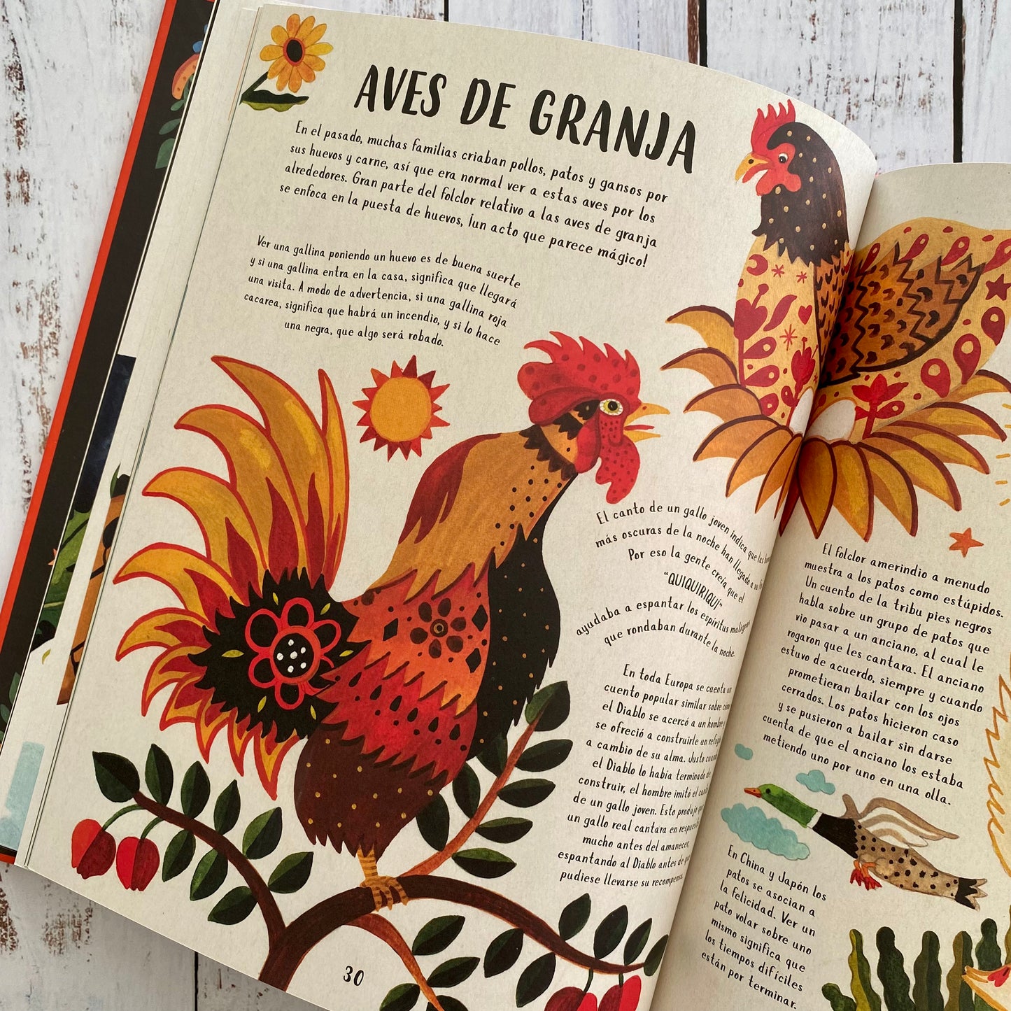 Mitos y leyendas de la naturaleza