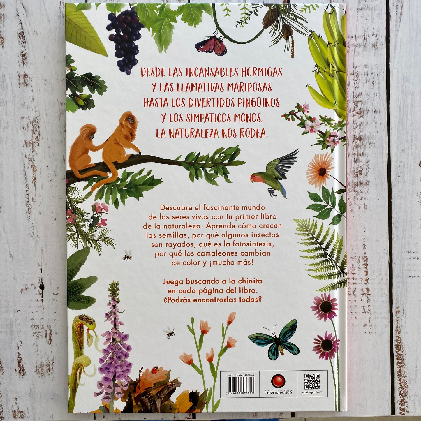 Mi primer libro de la naturaleza
