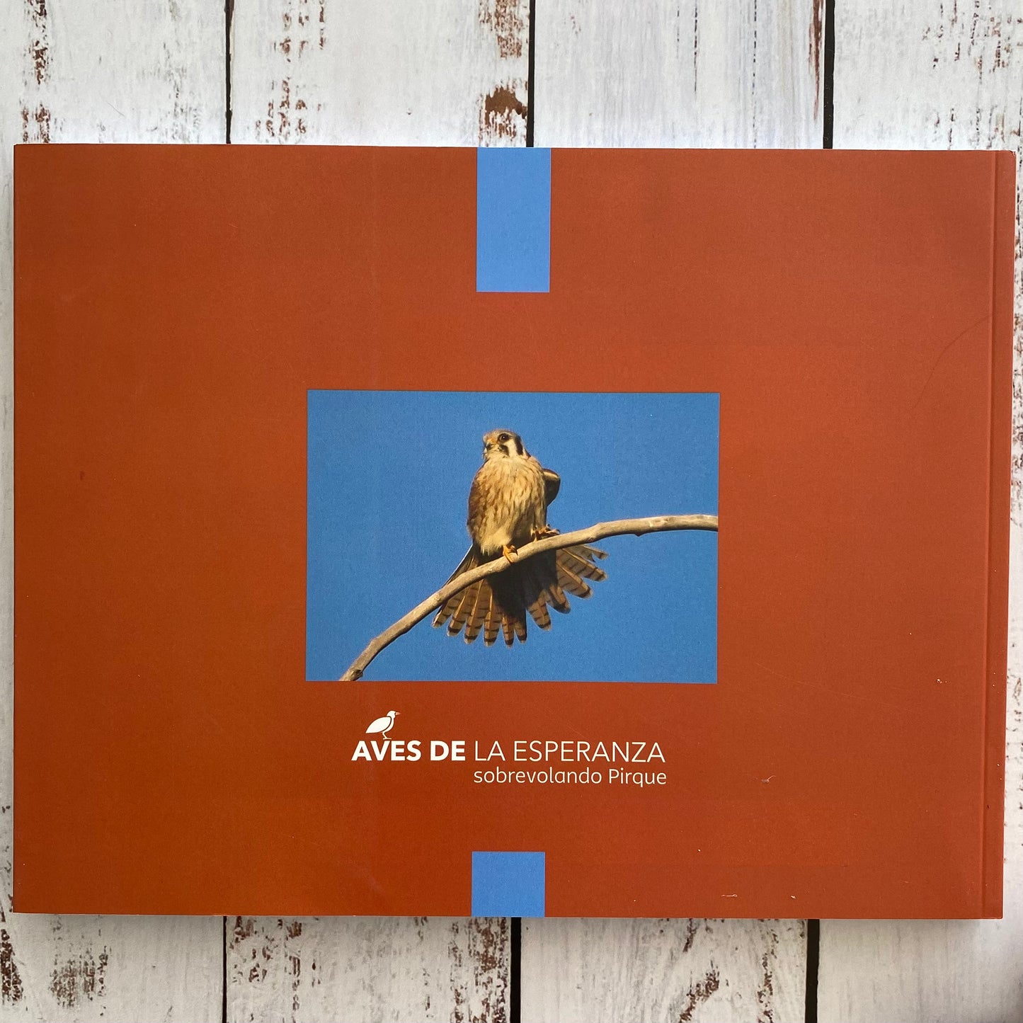 Aves de la esperanza, sobrevolando Pirque