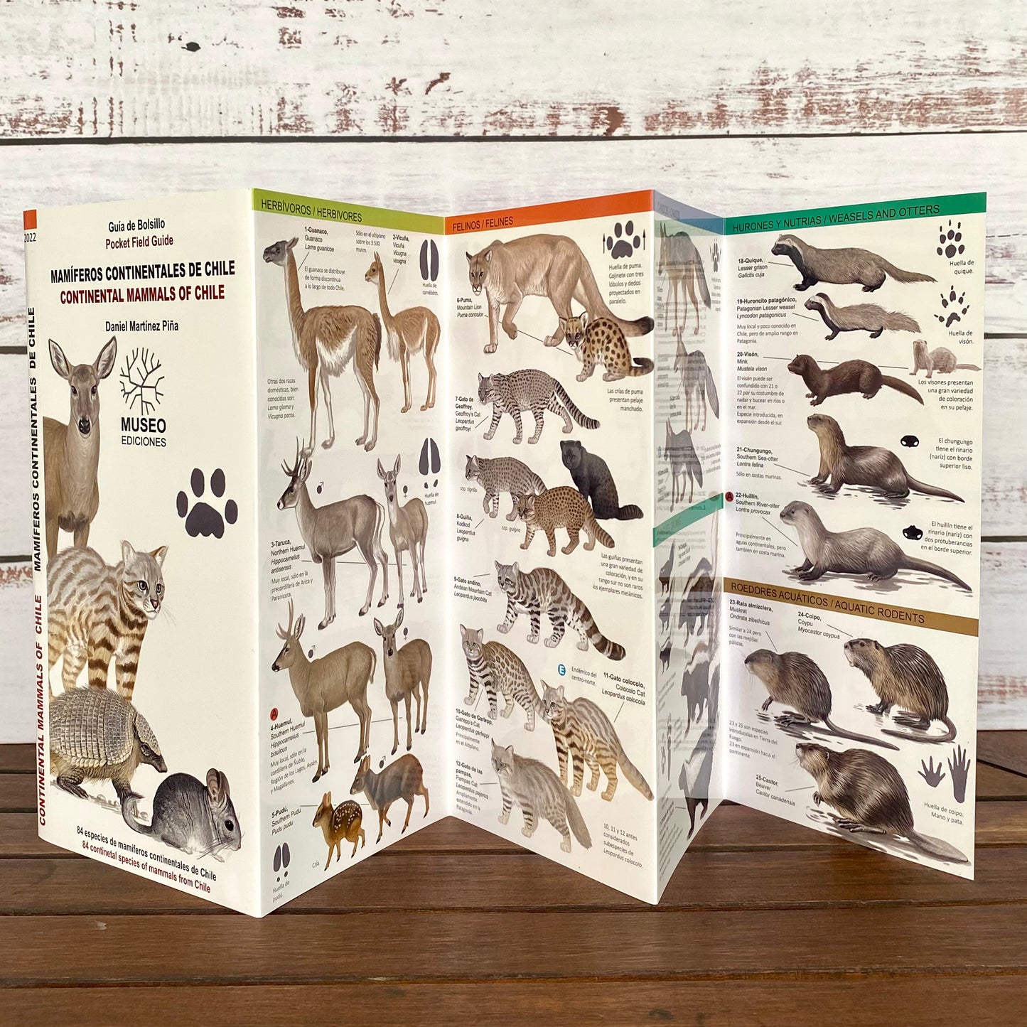 Guía Plegable: Mamíferos continentales de Chile: 84 especies de mamíferos continentales de Chile.