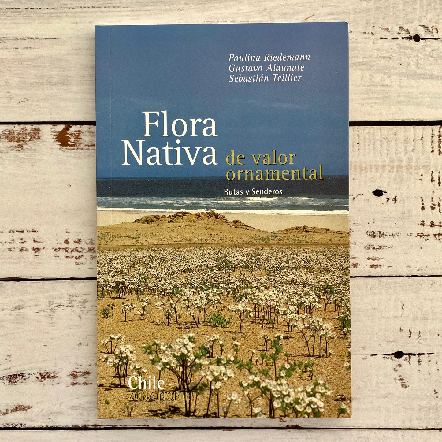 Flora nativa de valor ornamental: Zona norte