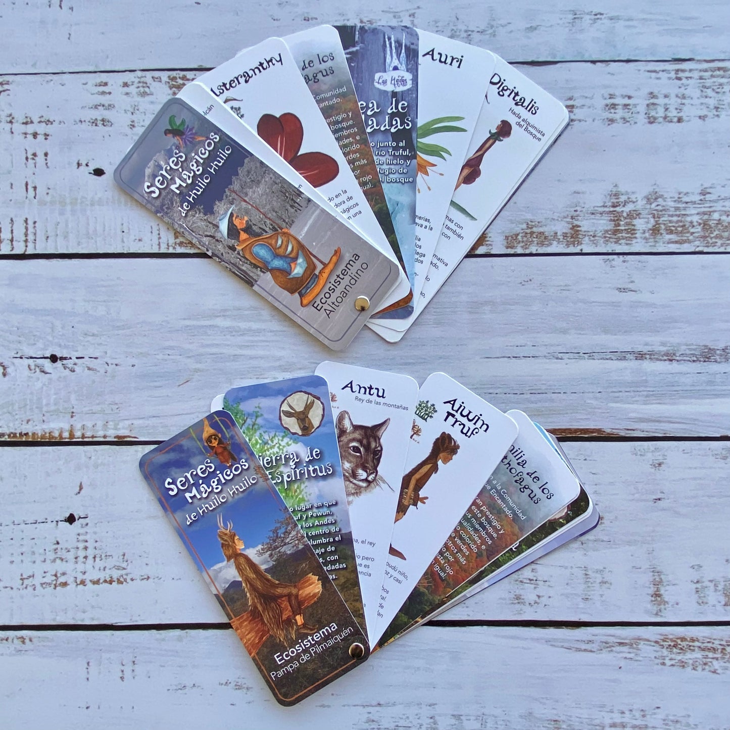 Set Guías de campo: Seres Mágicos