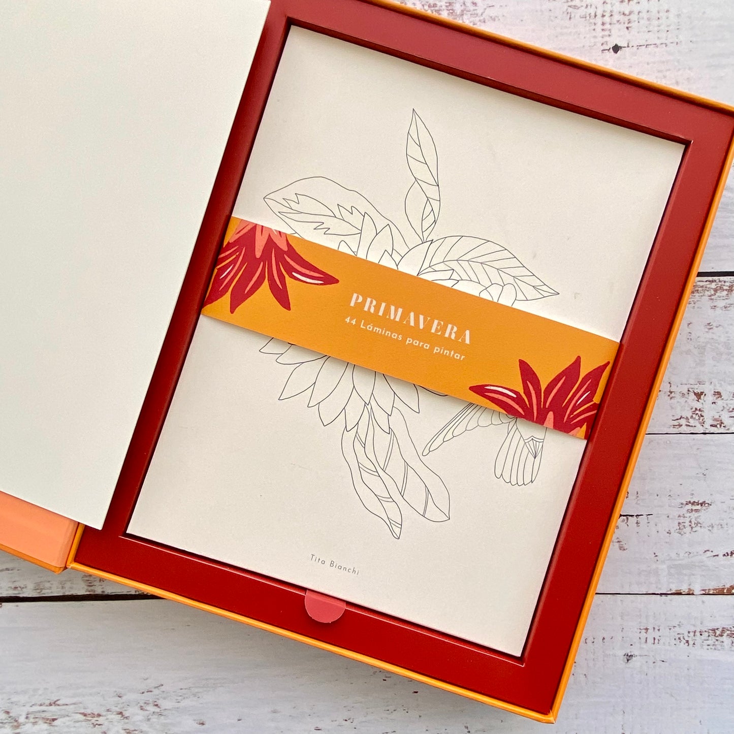 Primavera: Caja creativa con láminas para pintar