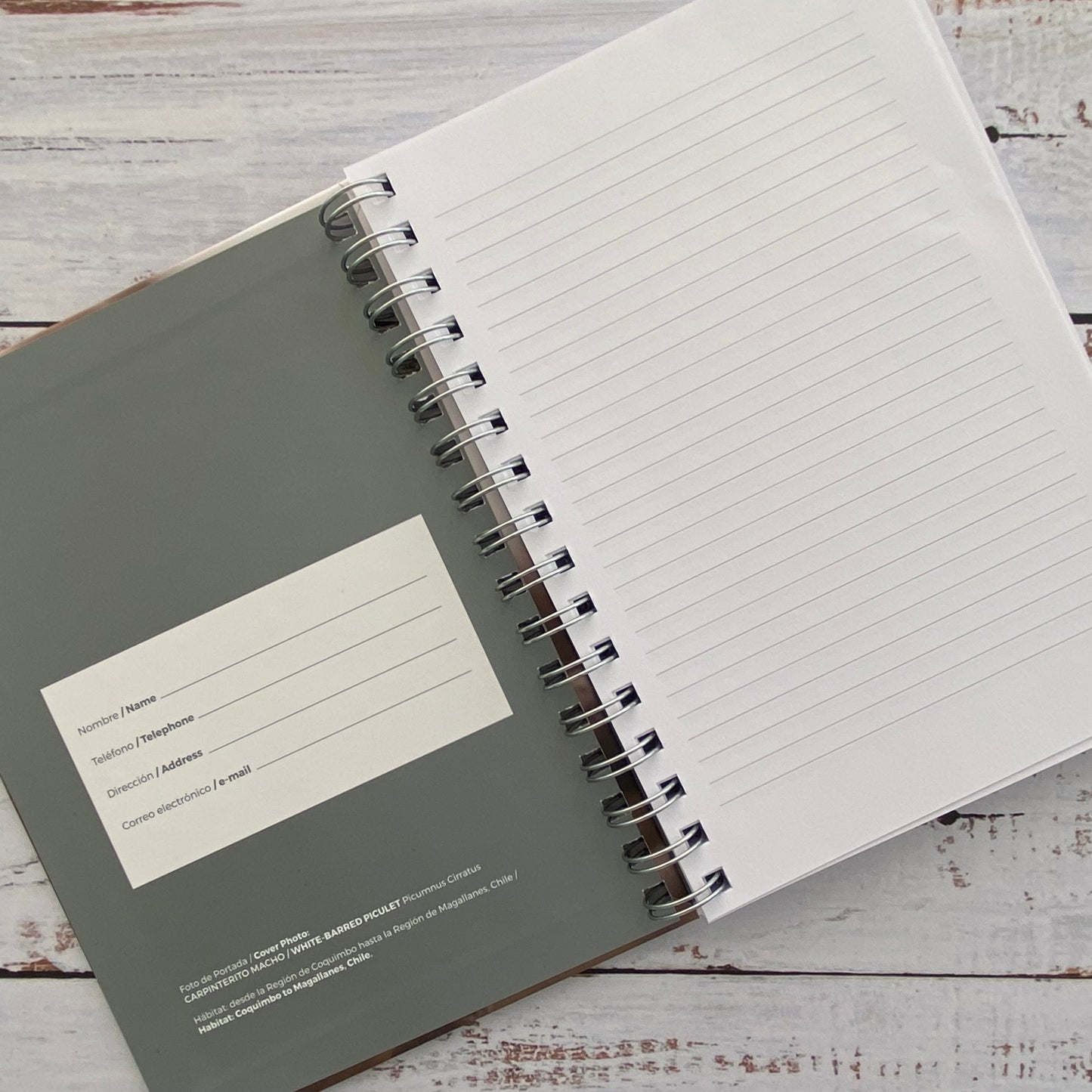 Cuaderno de Notas: Carpinterito Macho