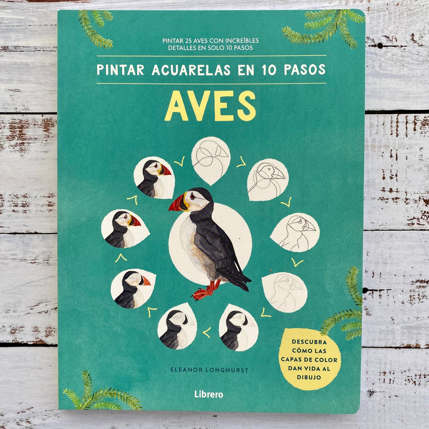 Pintar acuarelas en 10 Pasos. Aves