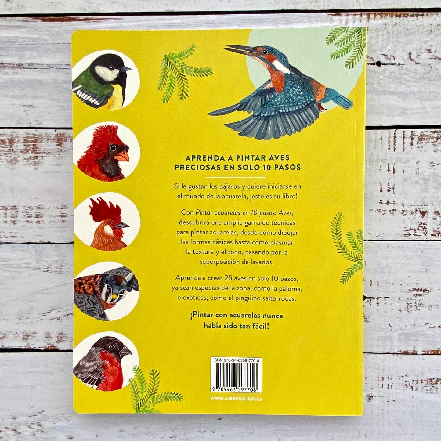 Pintar acuarelas en 10 Pasos. Aves