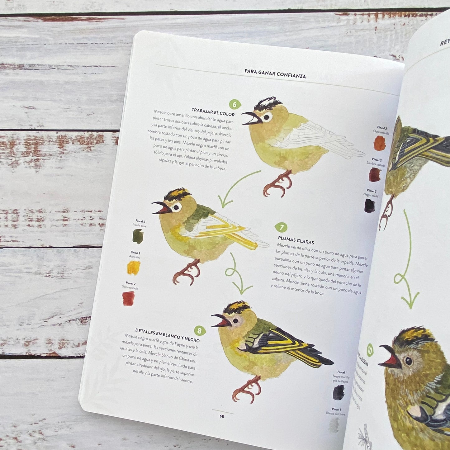 Pintar acuarelas en 10 Pasos. Aves
