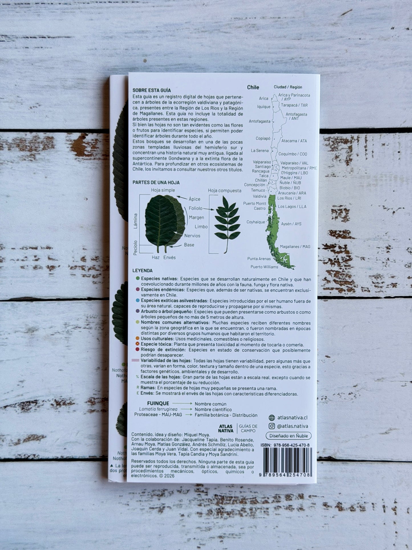 Guía plegable: Hojas de los árboles de la selva valdiviana y los bosques patagónicos