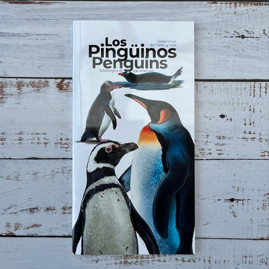 Los Pingüinos. Soberanos del hielo y mar.