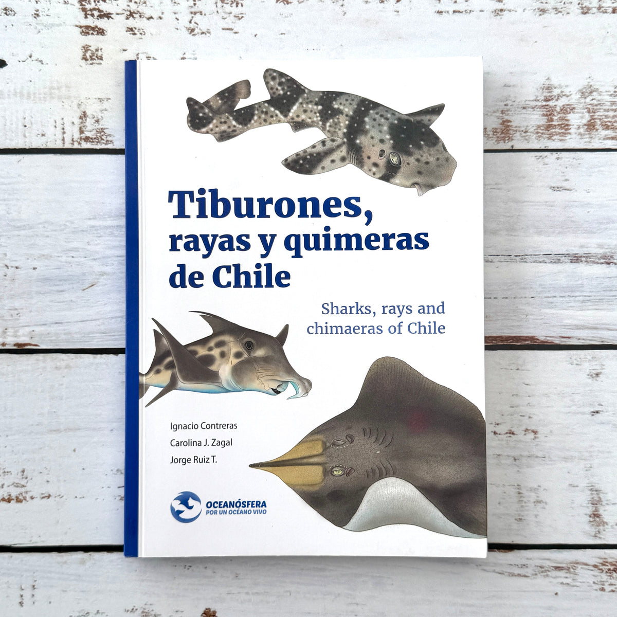Tiburones, rayas y quimeras de Chile (2025)