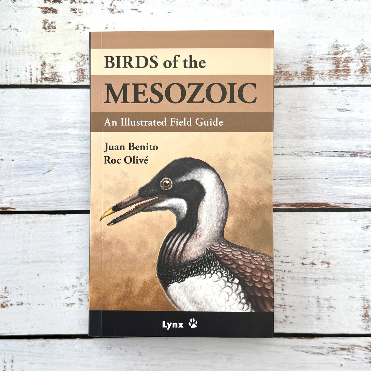 Birds of the Mesozoic. An illustrated field guide.