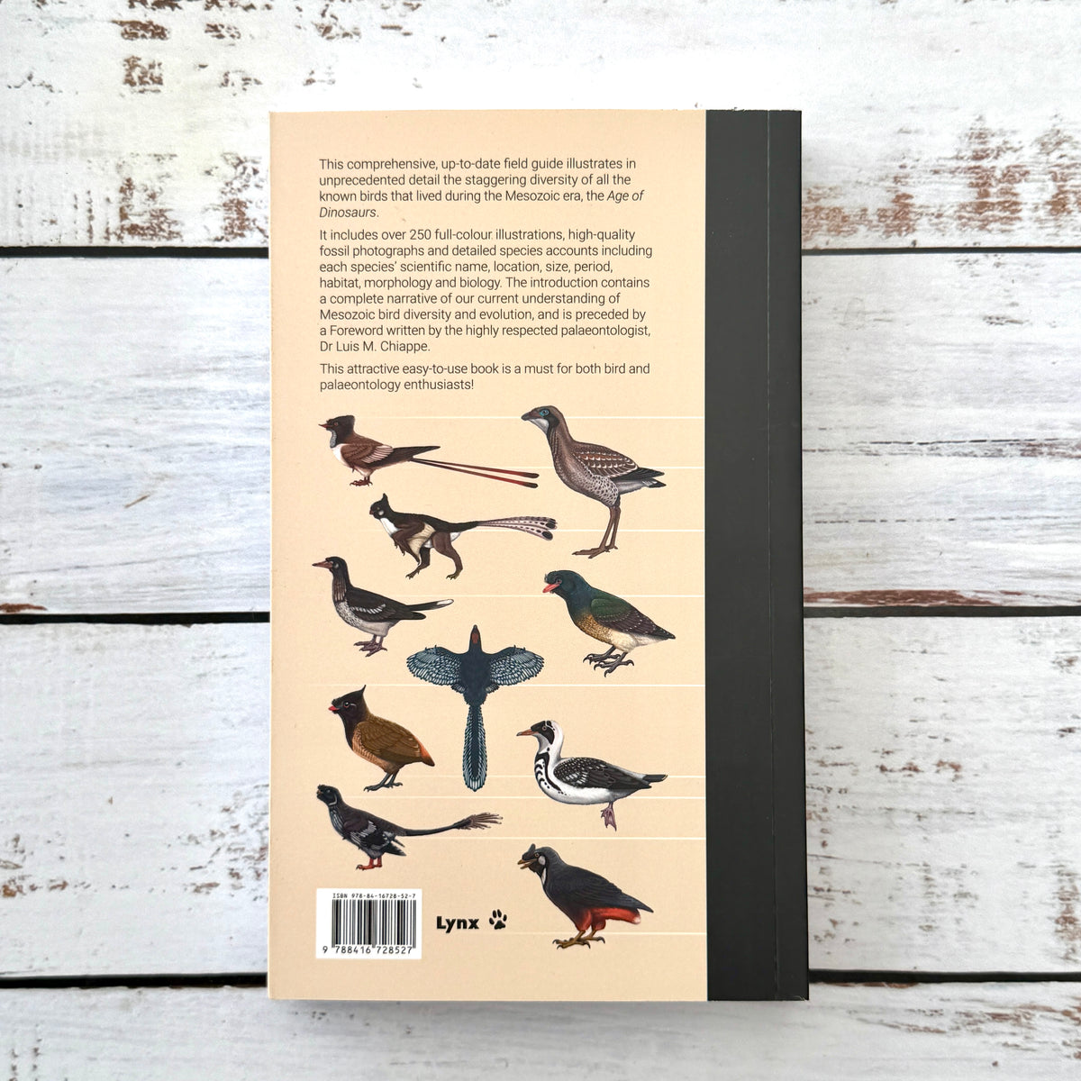 Birds of the Mesozoic. An illustrated field guide.